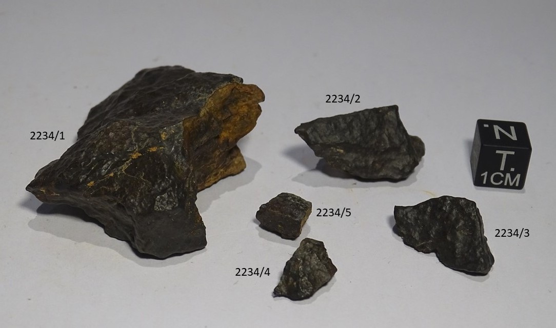 Meteorite/ Condrite Ordinaria/ Hammadah al Hamra 296 (esemplare)