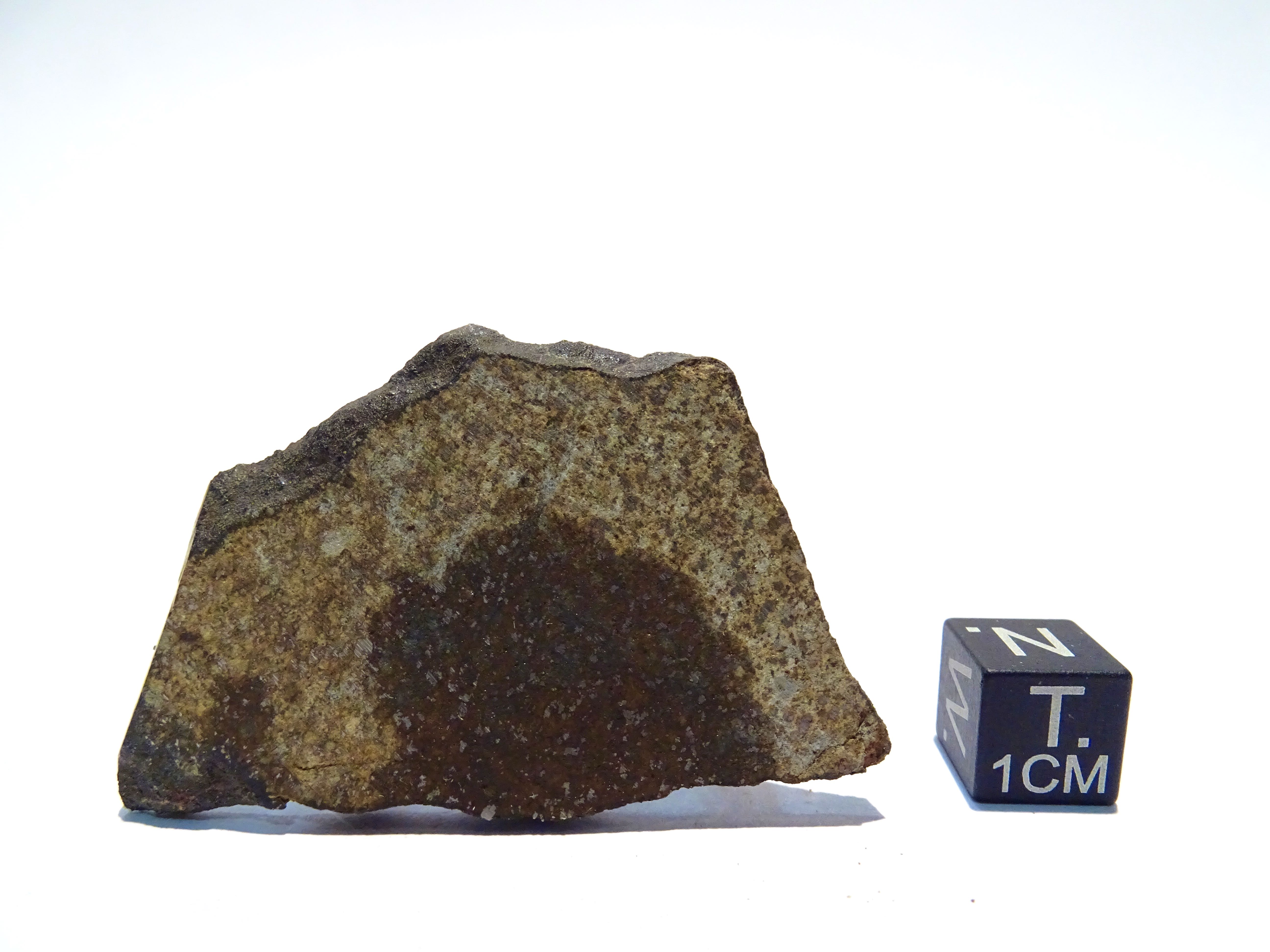 Meteorite/ Condrite ordinaria/ Lago Valscura (esemplare)