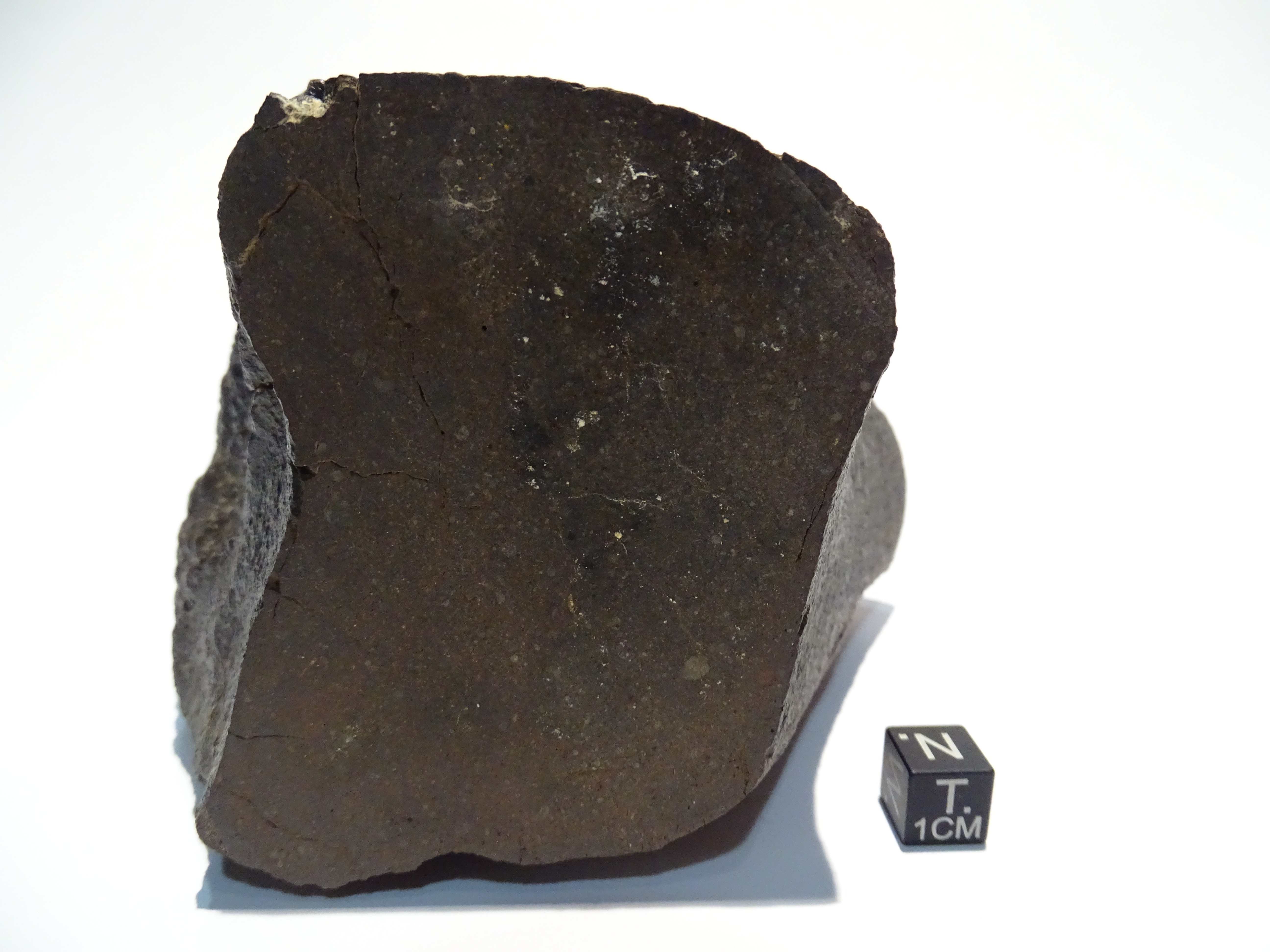 Meteorite/ Condrite ordinaria/ Dhofar 074 (esemplare)