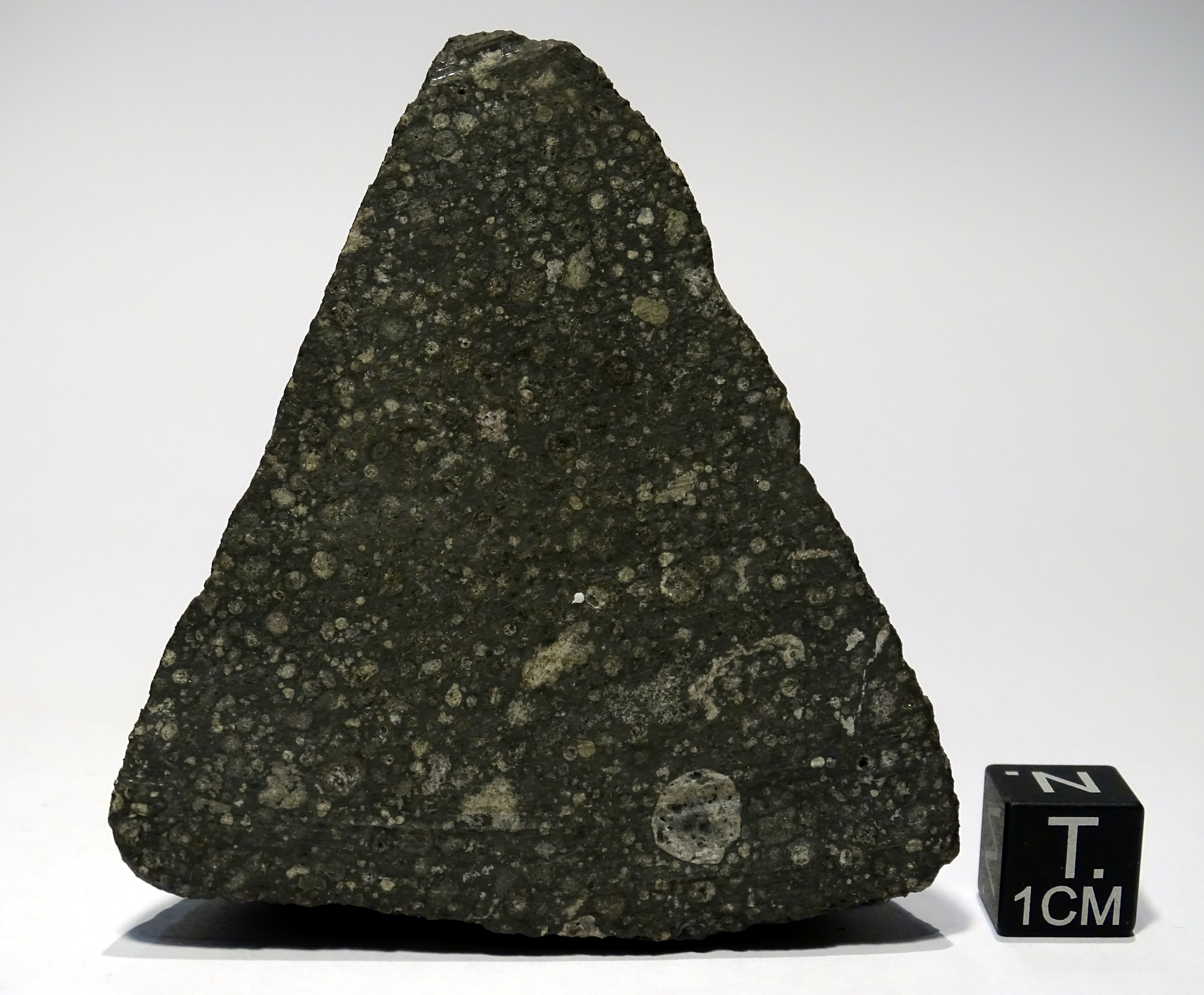 Meteorite/ Condrite Carbonacea/ Allende (esemplare)