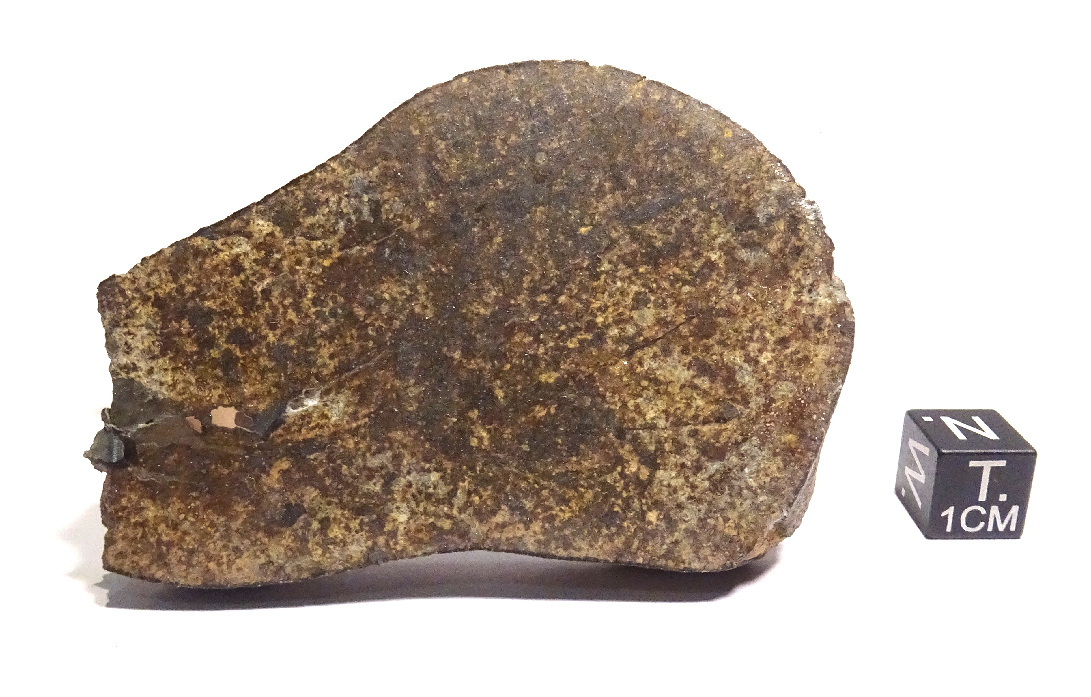 Meteorite/ Condrite Ordinaria/ Gao-Guenie (esemplare)