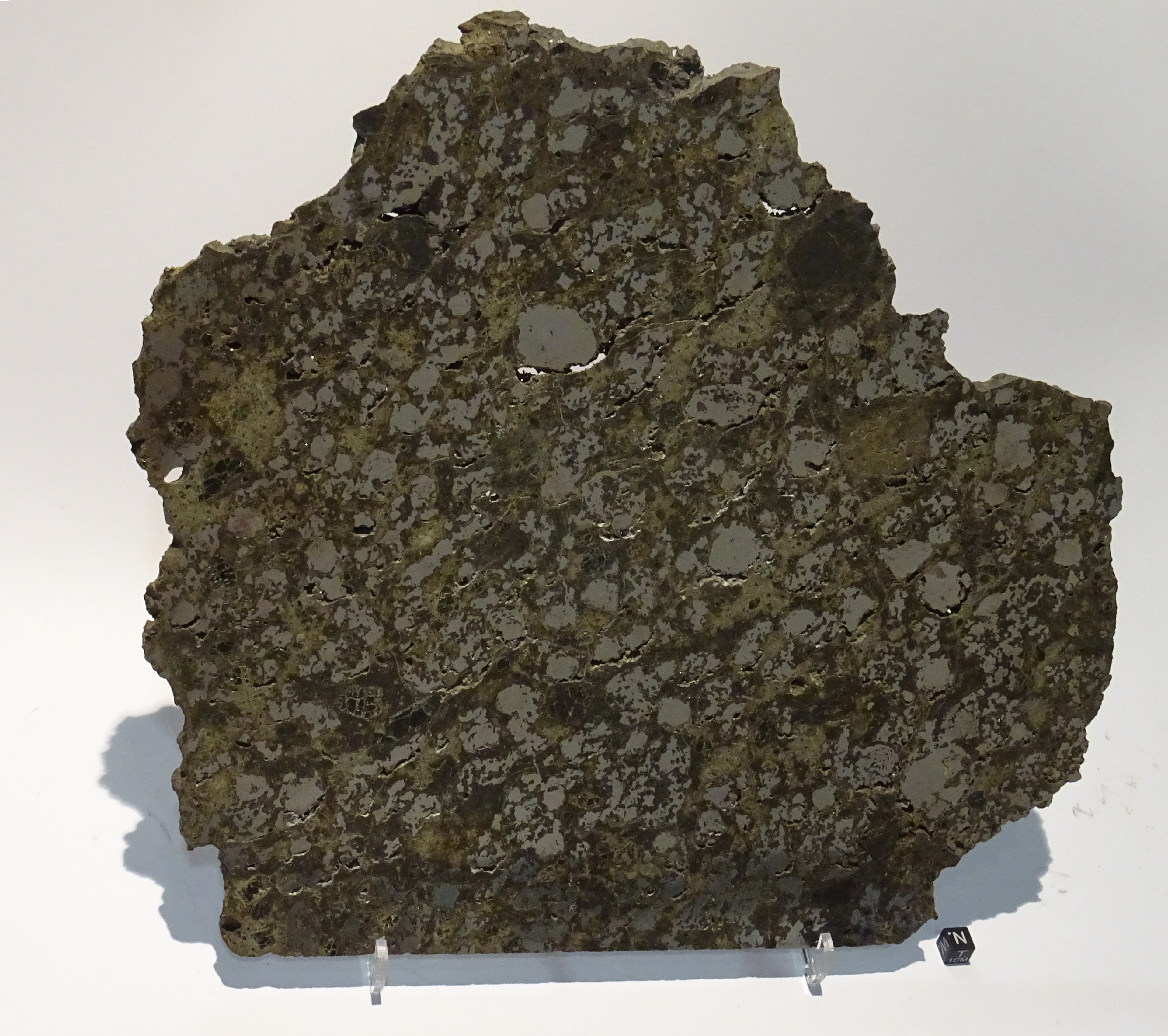 Meteorite/ Mesosiderite/ Estherville (esemplare)