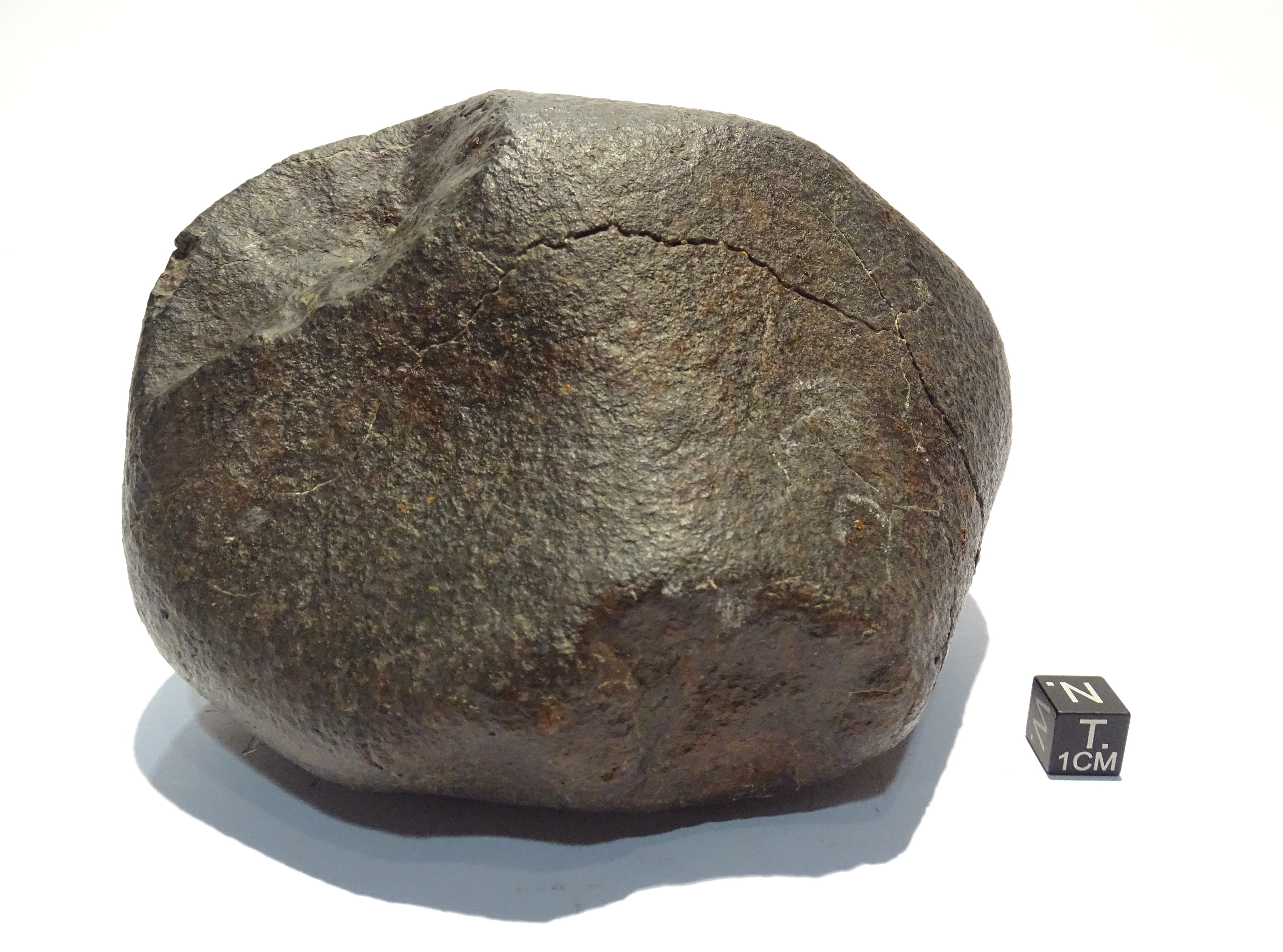 Meteorite/ Condrite Ordinaria/ Dar al Gani 682 (esemplare)