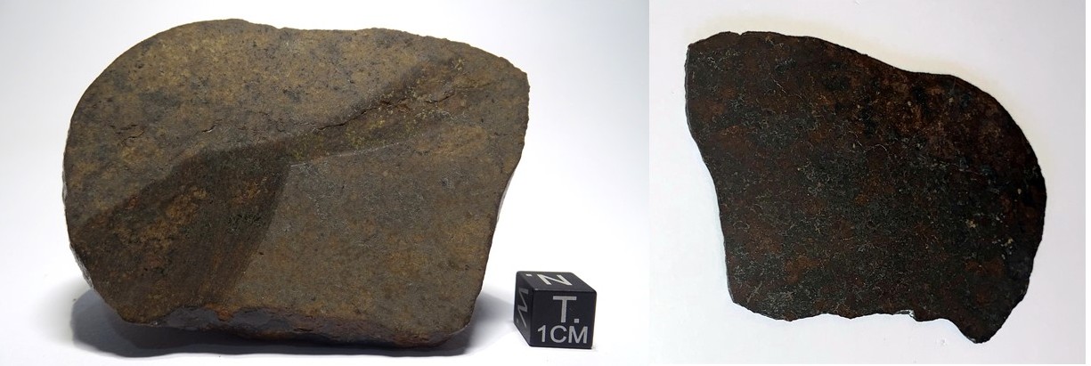 Meteorite/ Ureilite/ Dar al Gani 692 (esemplare)