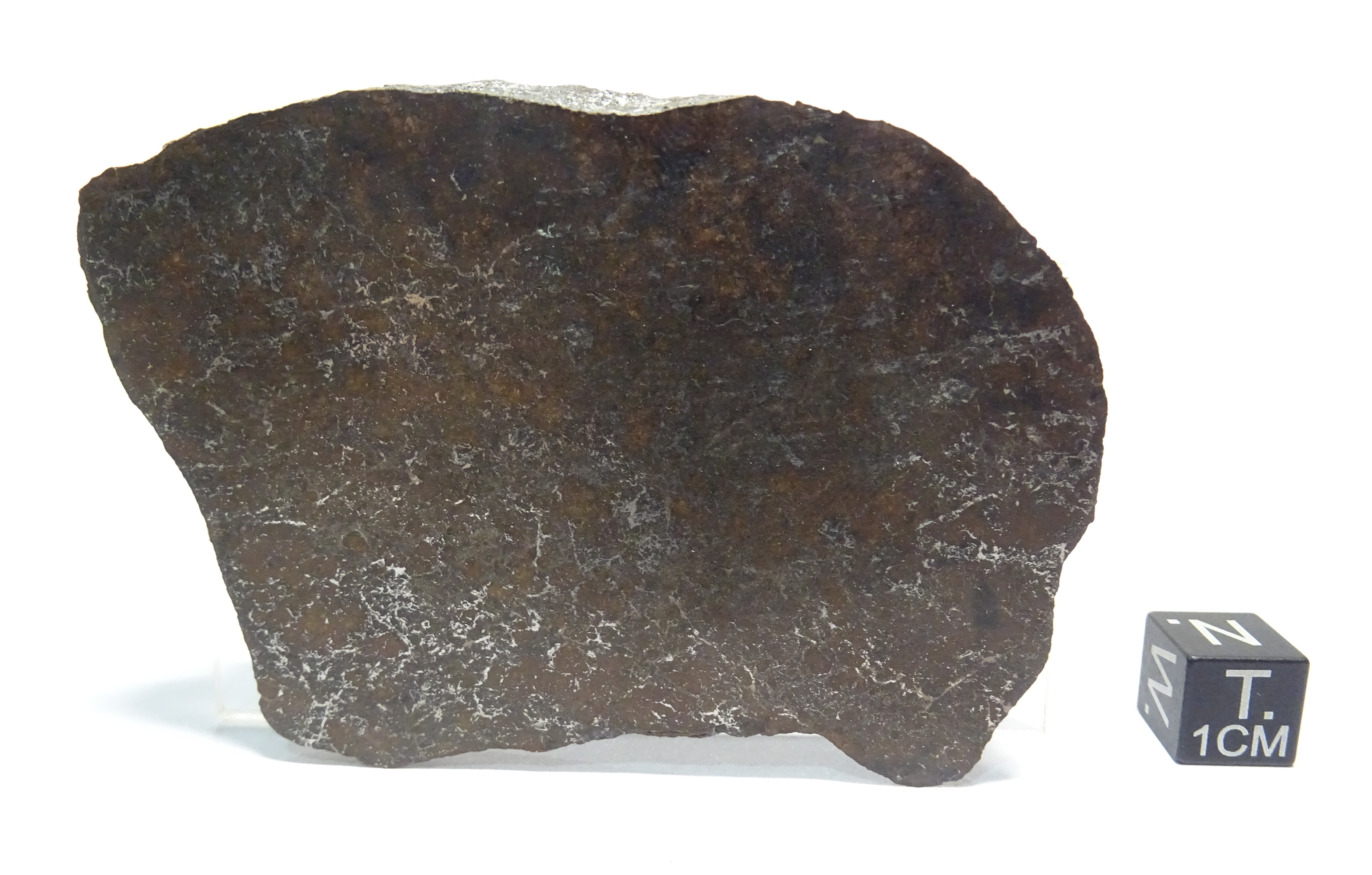 Meteorite/ Ureilite/ Dar al Gani 692 (esemplare)