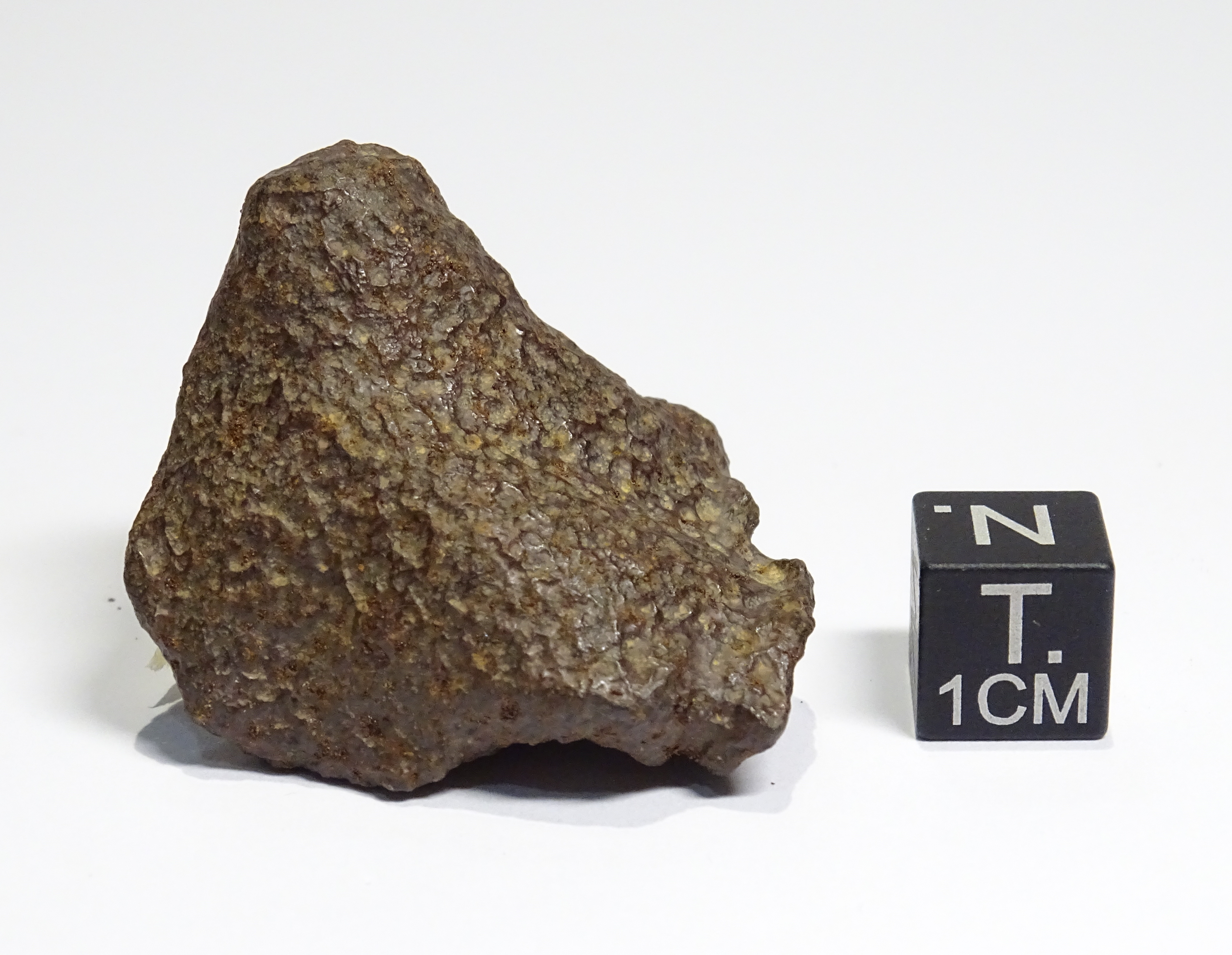 Meteorite/ Iron/ Gebel Kamil (esemplare)