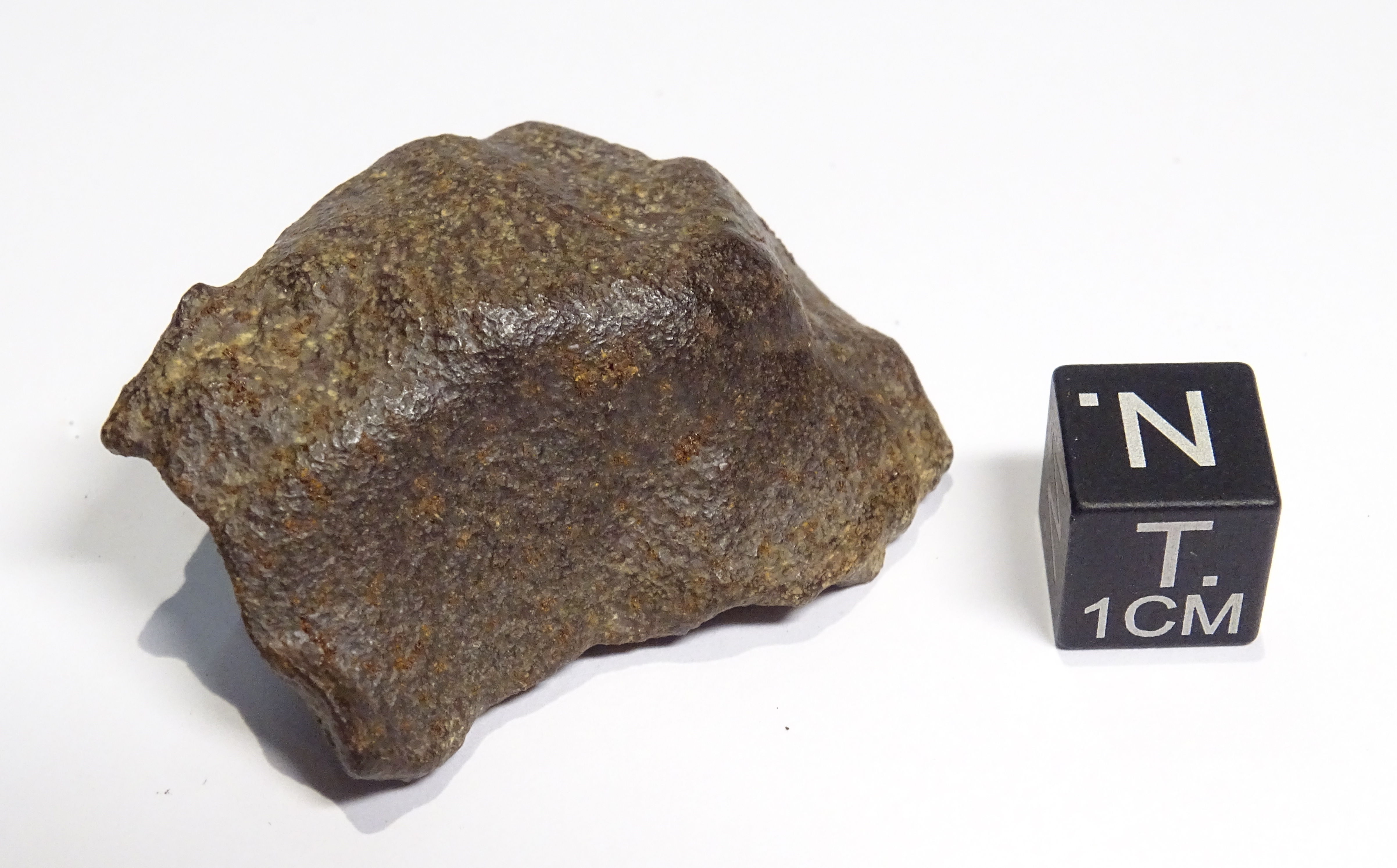 Meteorite/ Iron/ Gebel Kamil (esemplare)