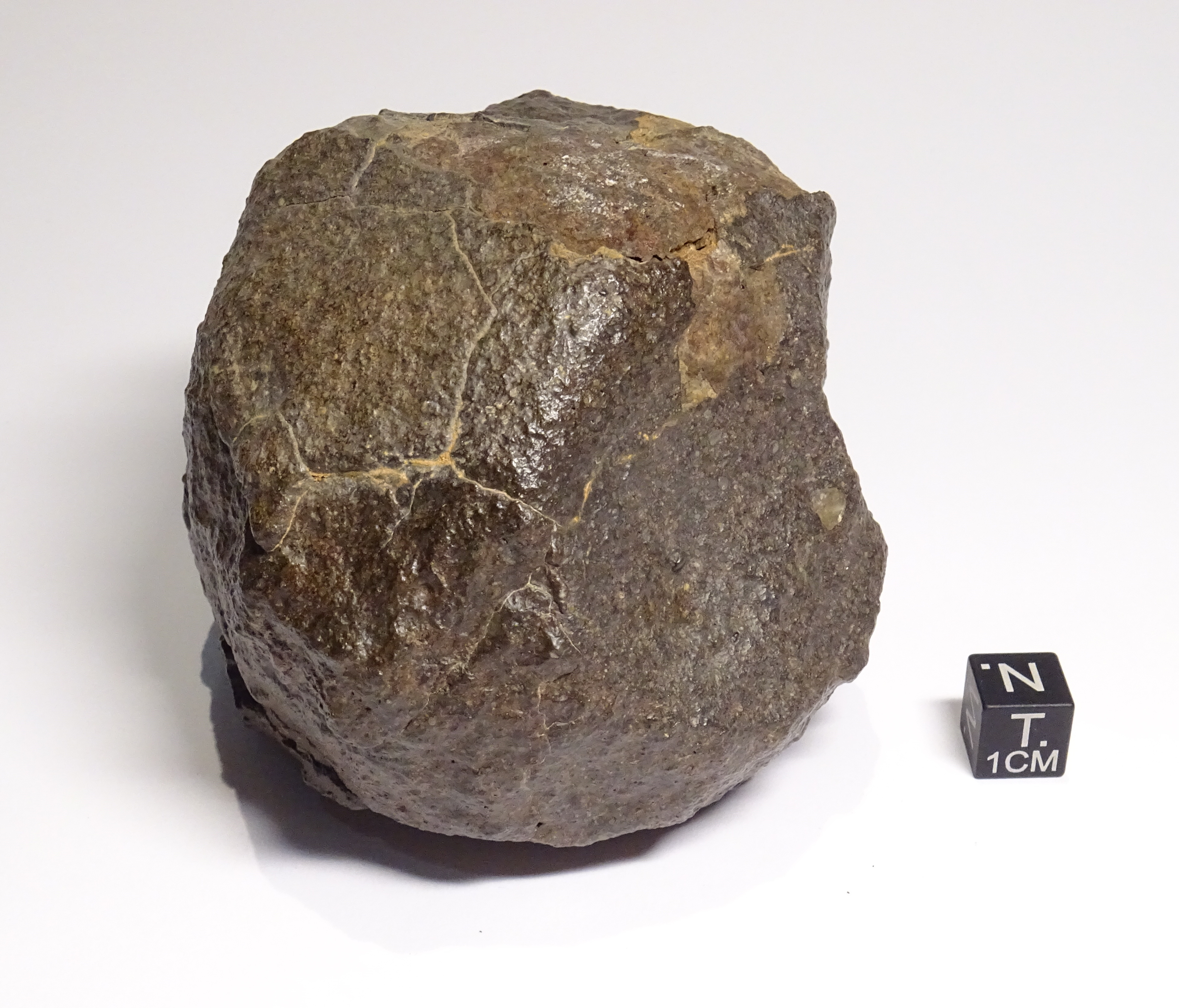 Meteorite/ Condrite ordinaria/ Hammadah al Hamra 297 (esemplare)