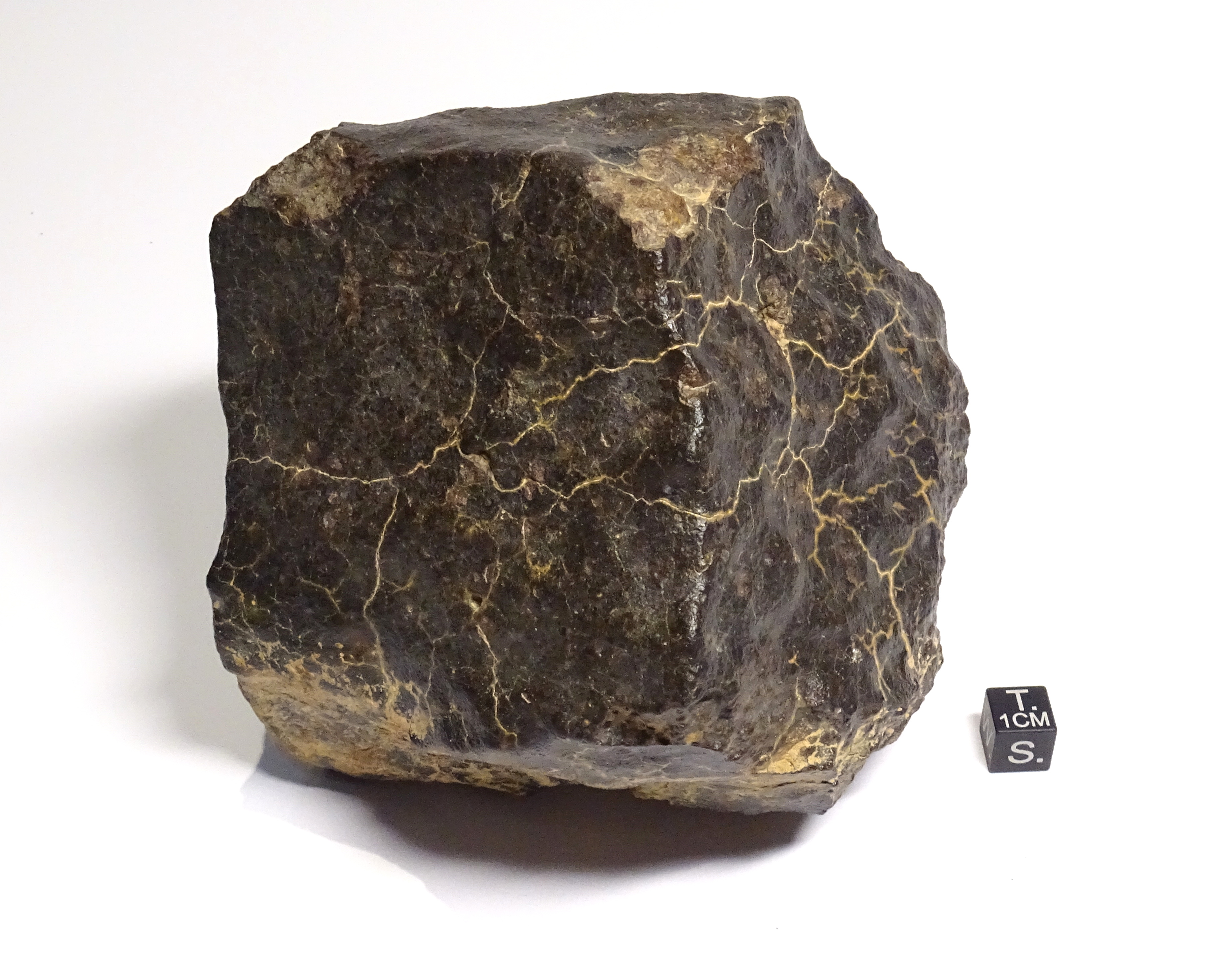 Meteorite/ Condrite ordinaria/ Dar al Gani 624 (esemplare)