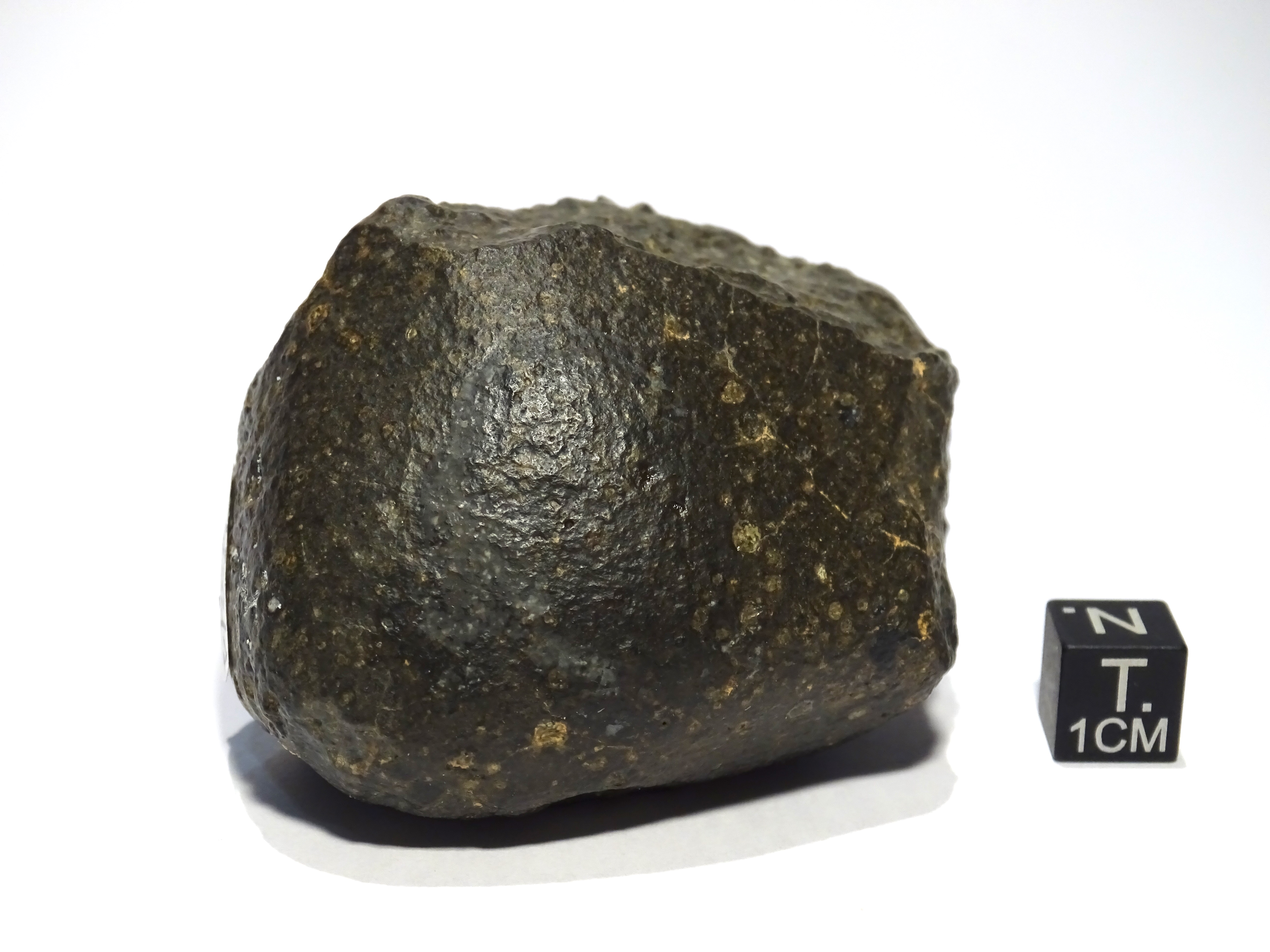 Meteorite/ Condrite carbonacea/ Hammadah al Hamra 337 (esemplare)