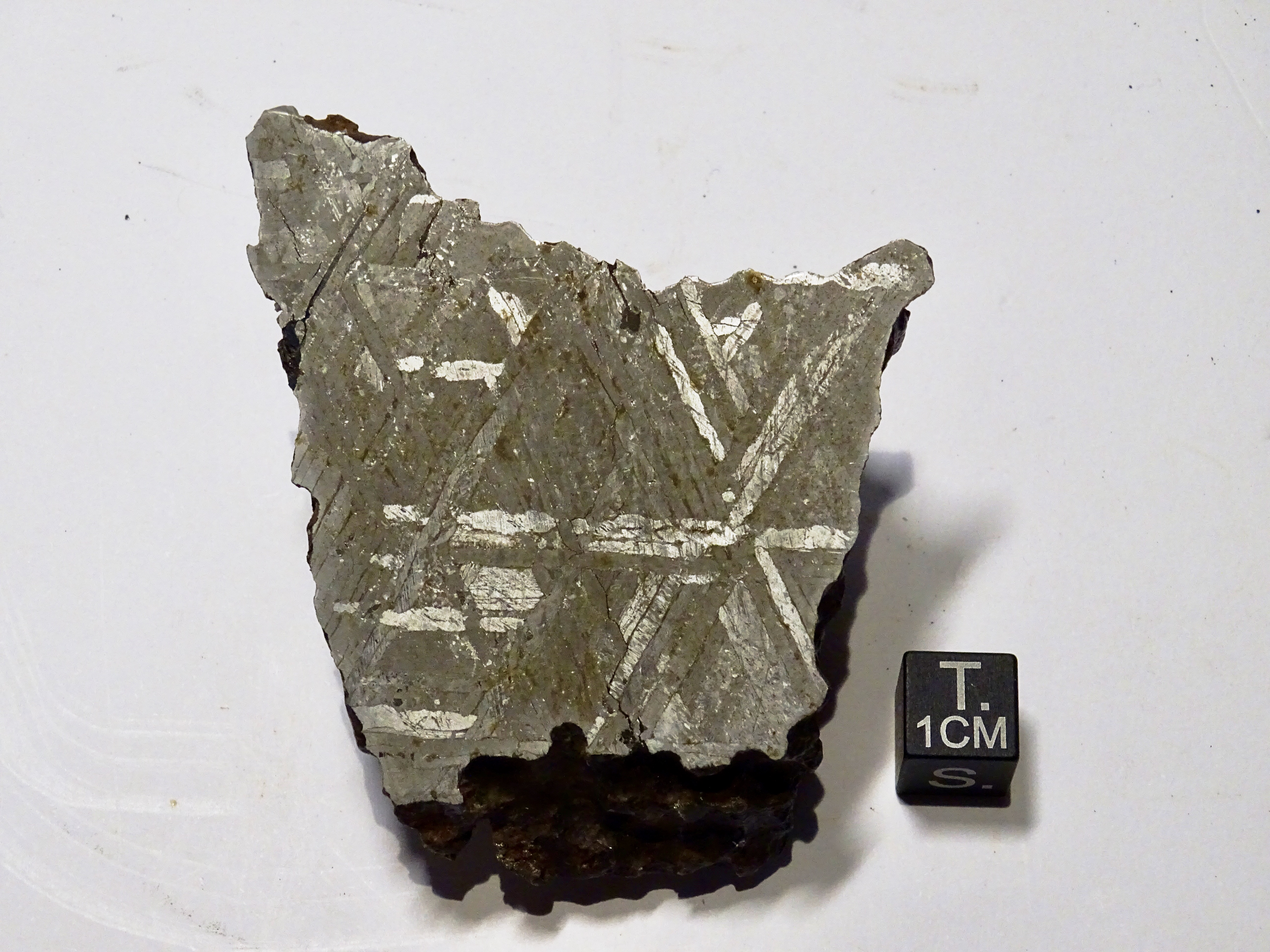 Meteorite/ Iron/ Slaghek's Iron (esemplare)
