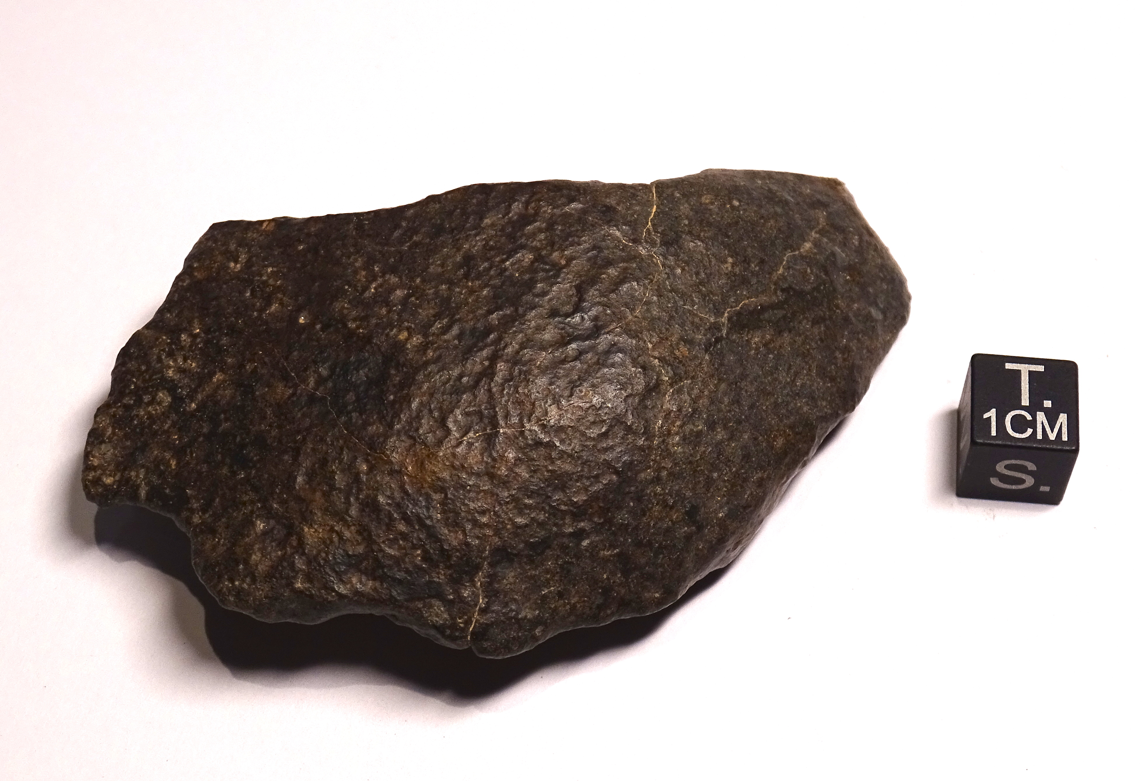Meteorite/ Condrite ordinaria/ Acfer 350 (esemplare)