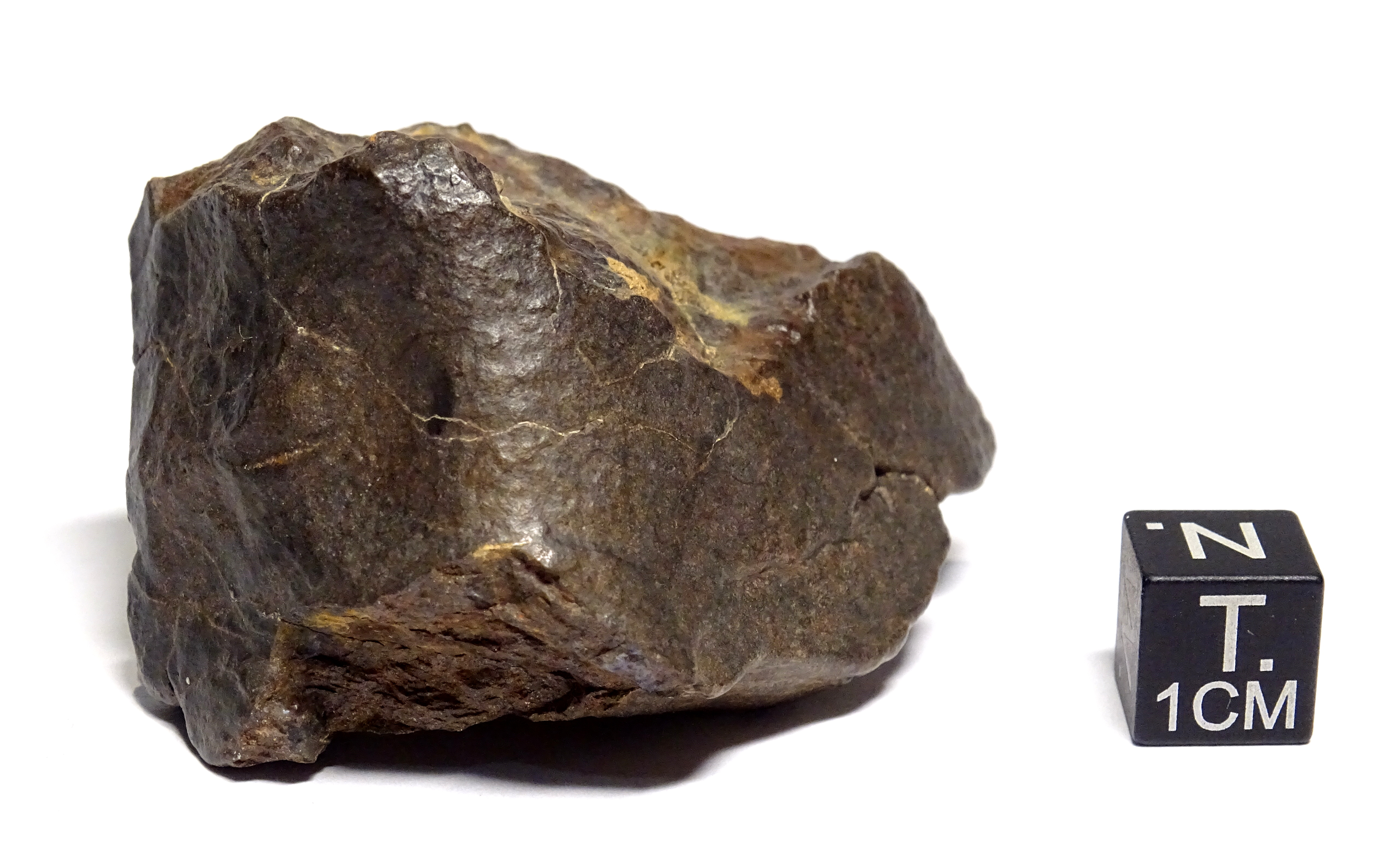 Meteorite/ Condrite ordinaria/ Dar al Gani 885 (esemplare)