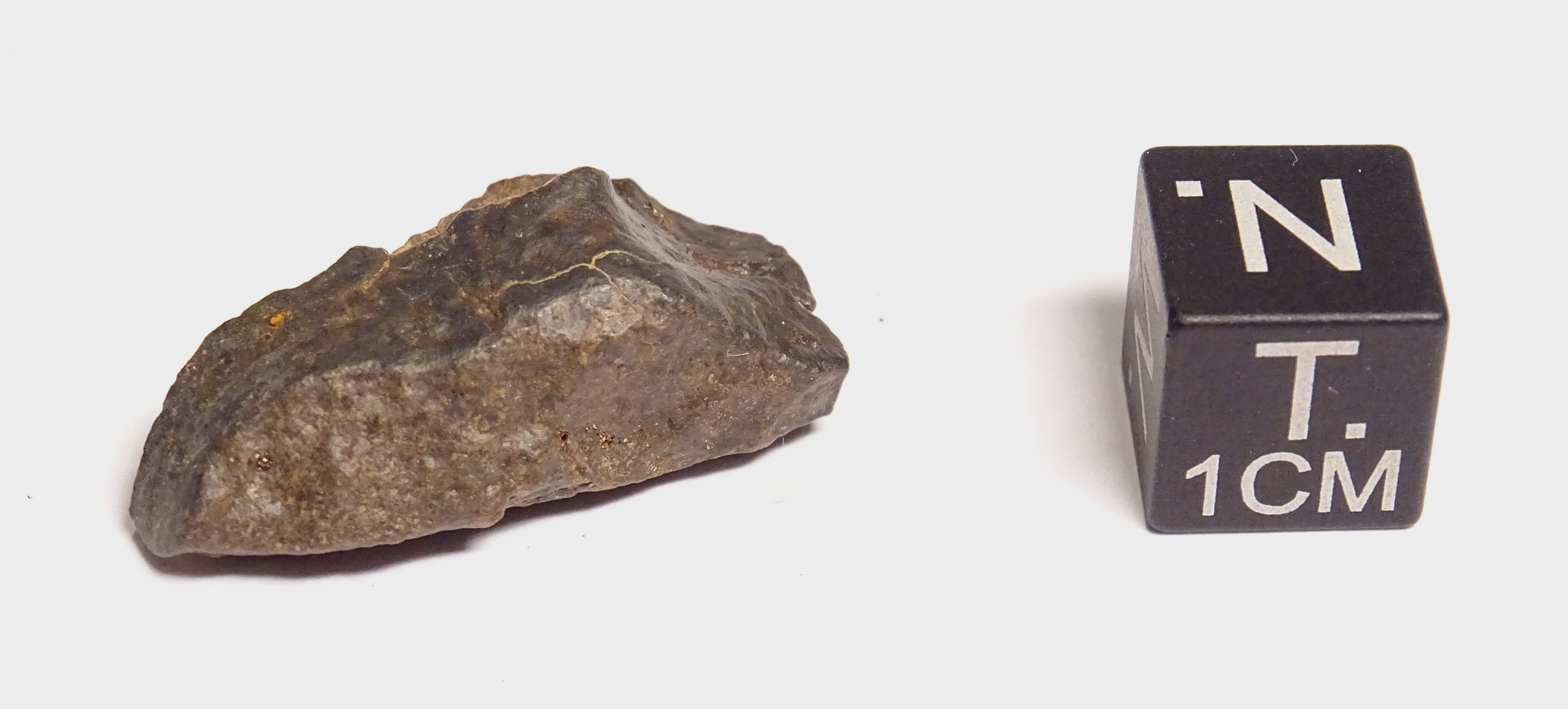 Meteorite/ Condrite ordinaria/ Dar al Gani 887 (esemplare)