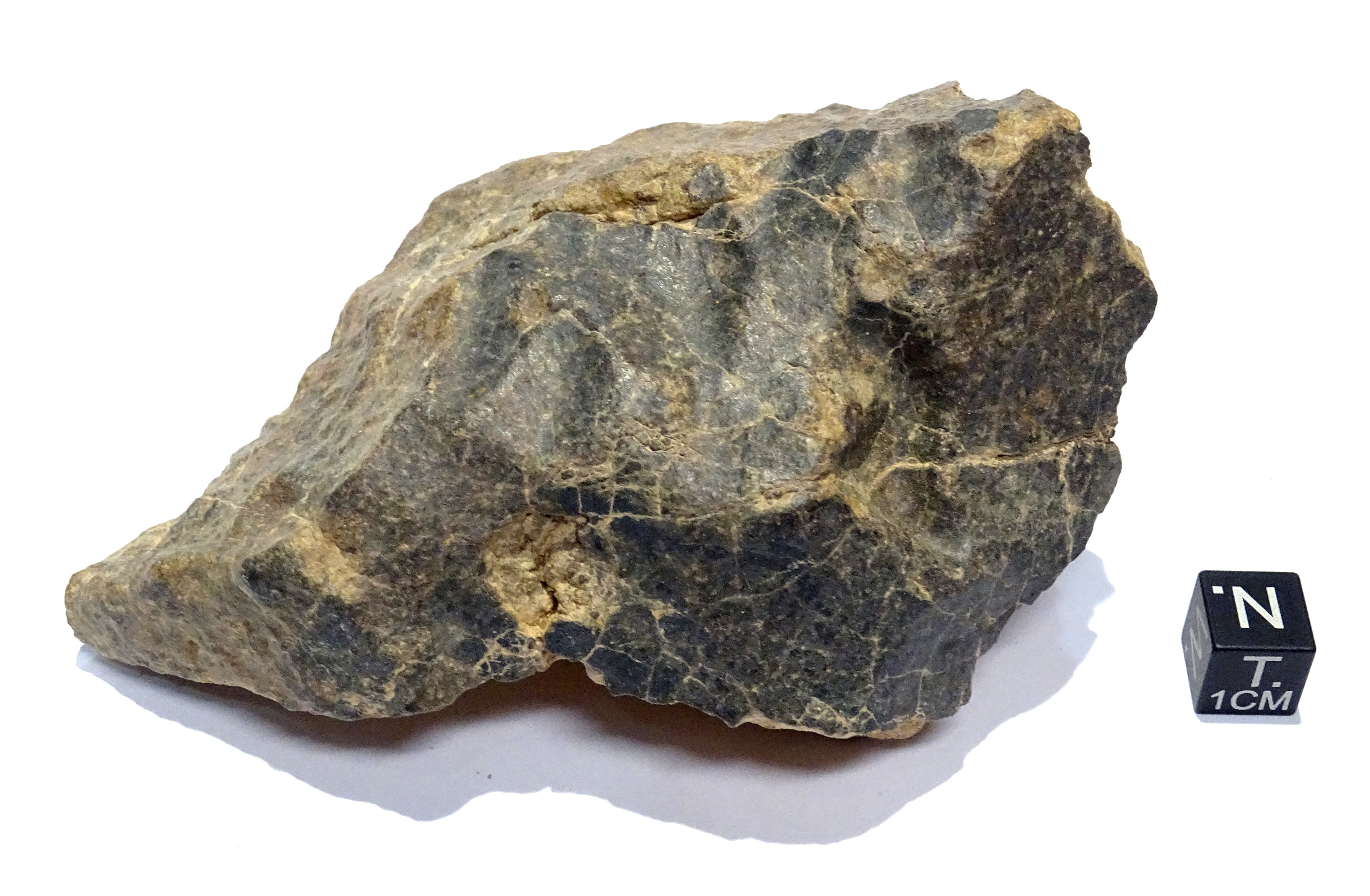 Meteorite/ Condrite ordinaria/ Plateau du Tademait 006 (esemplare)