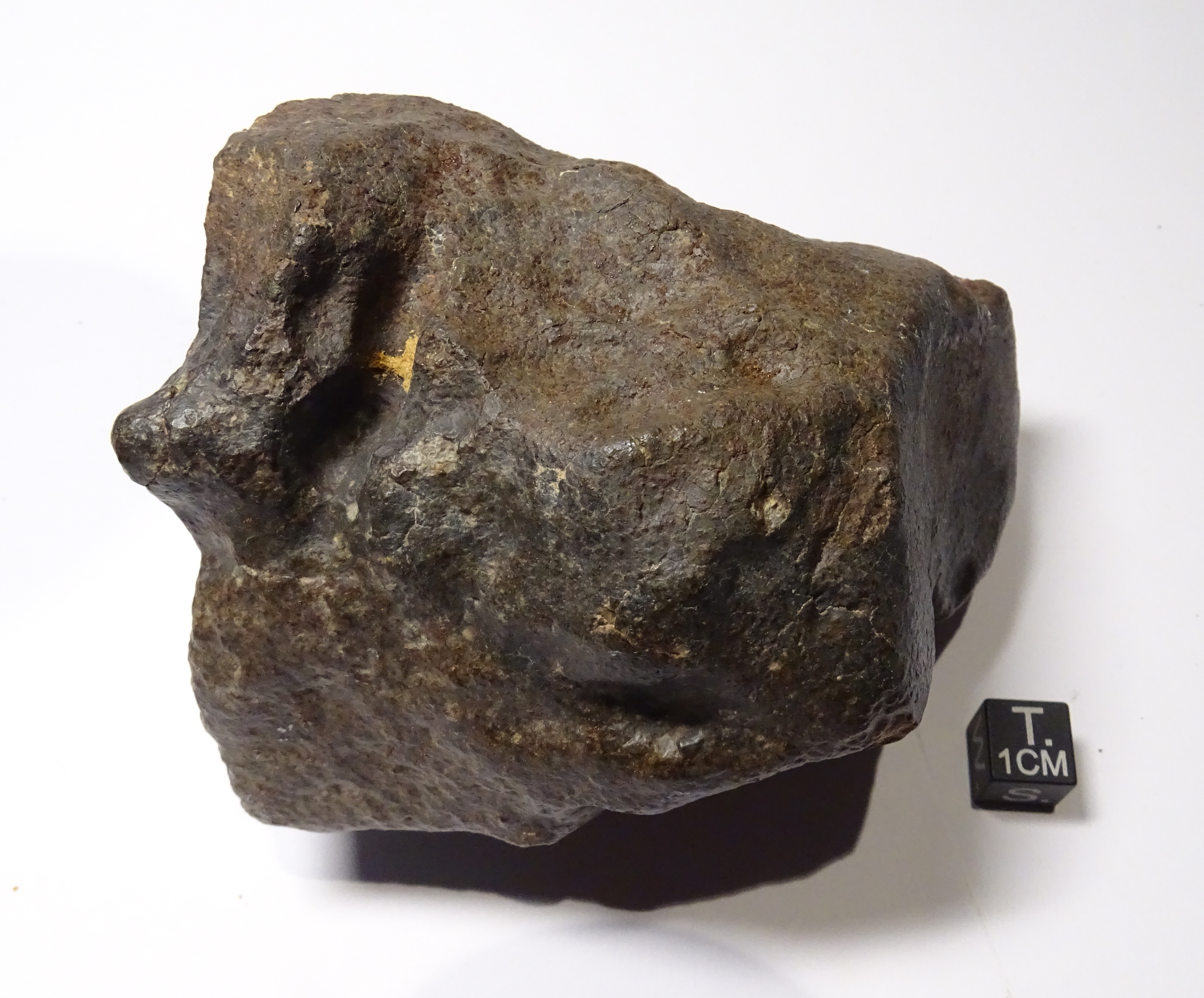 Meteorite/ Condrite ordinaria/ Tanezrouft 072 (esemplare)