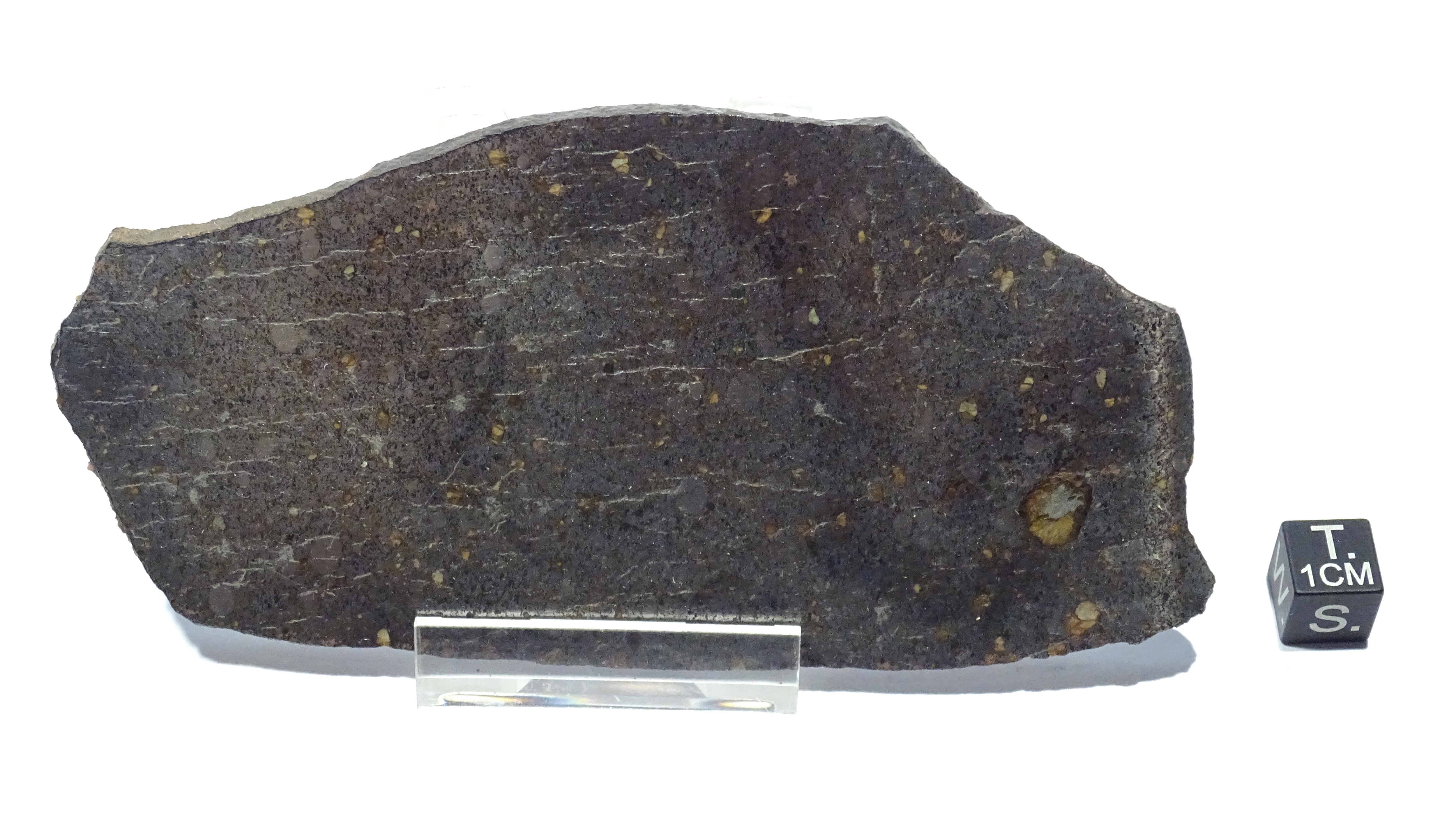 Meteorite/ Condrite carbonacea/ Hammadah al Hamra 237 (esemplare)
