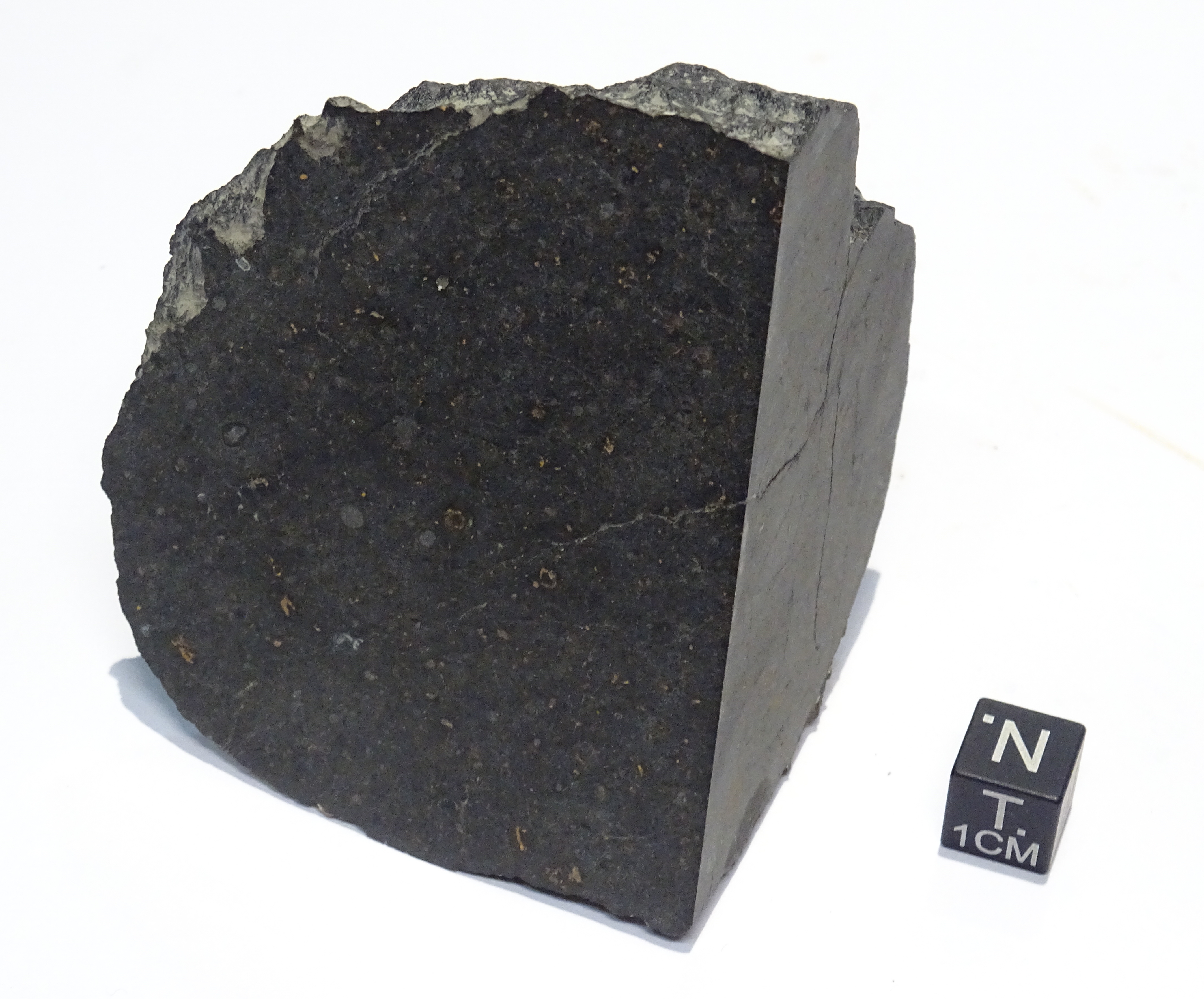 Meteorite/ Condrite ordinaria/ Hammadah al Hamra 280 (esemplare)