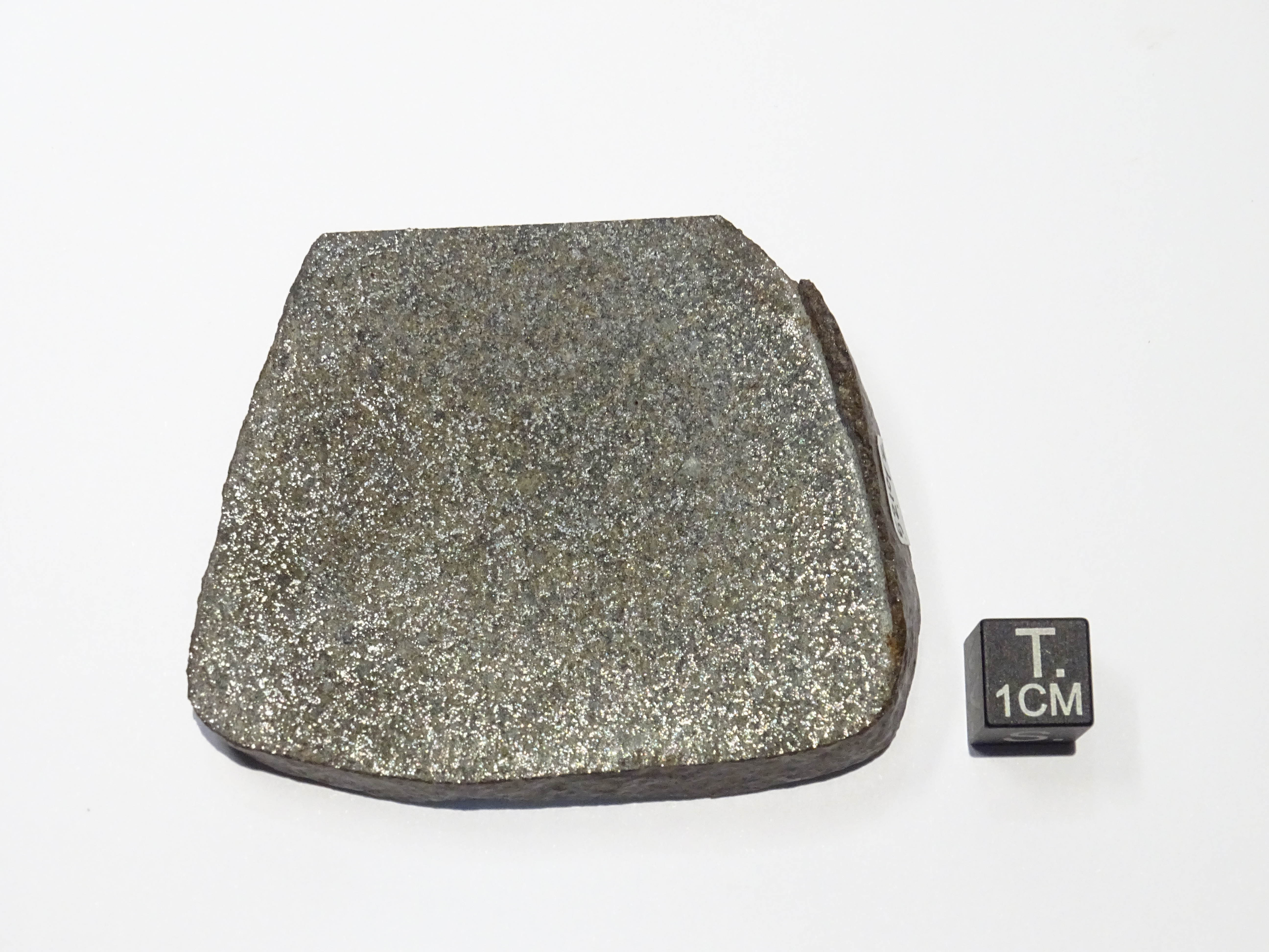 Meteorite/ Condrite ordinaria/ Gourara 002 (esemplare)