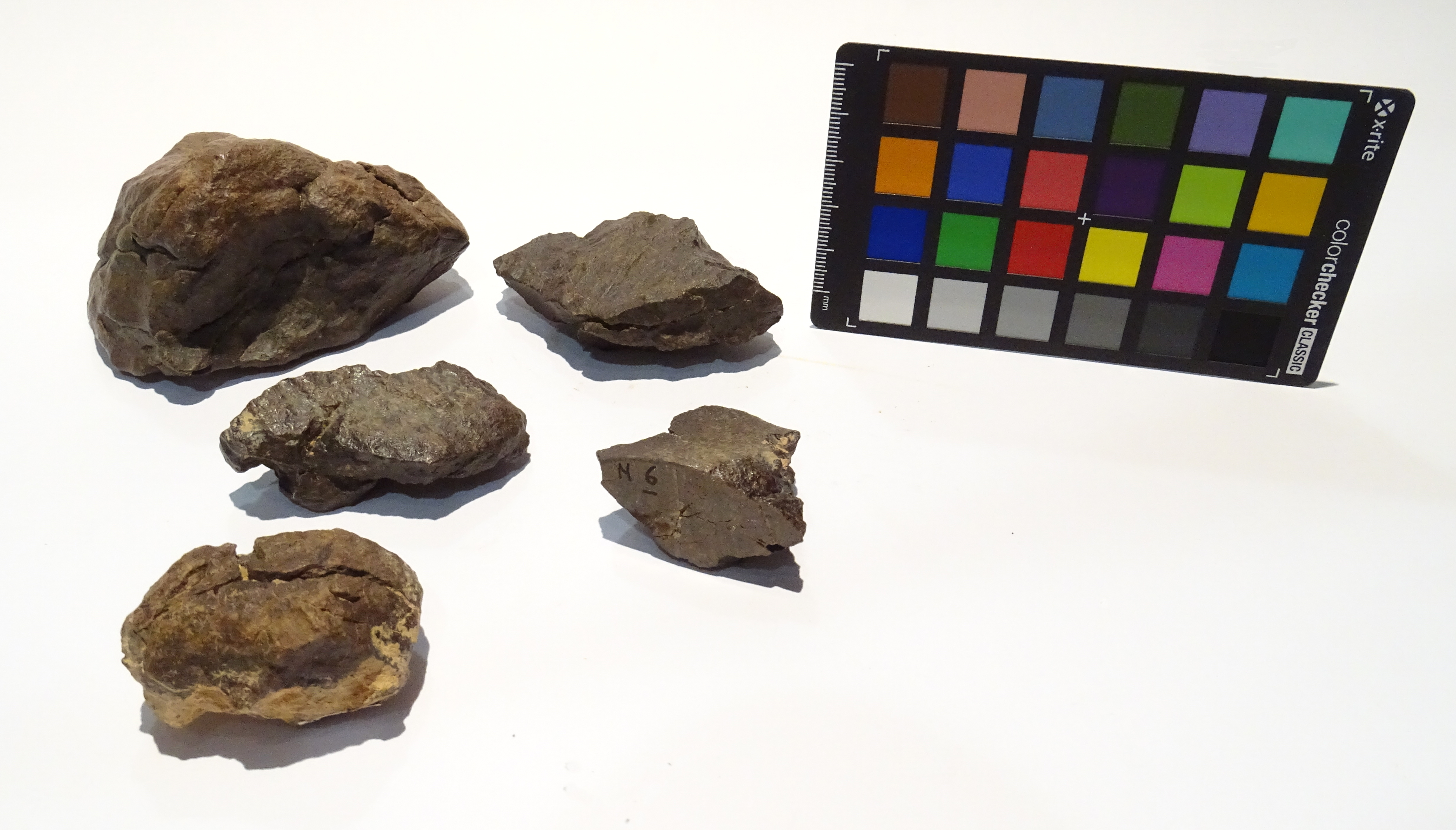 Meteorite/ Condrite ordinaria/ Dar al Gani 1005 (esemplare)