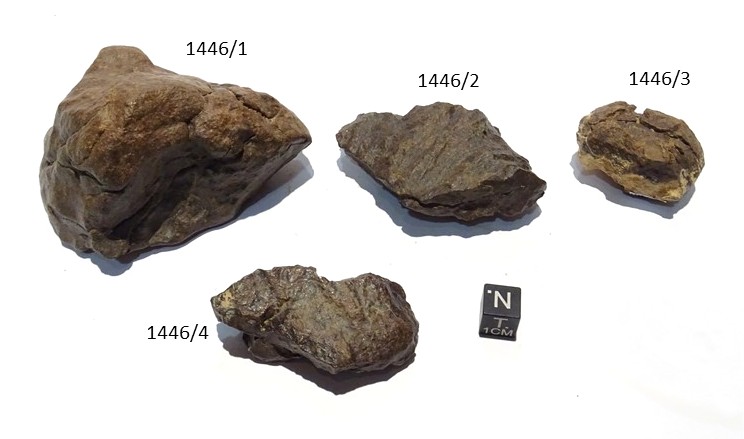 Meteorite/ Condrite ordinaria/ Dar al Gani 1005 (esemplare)