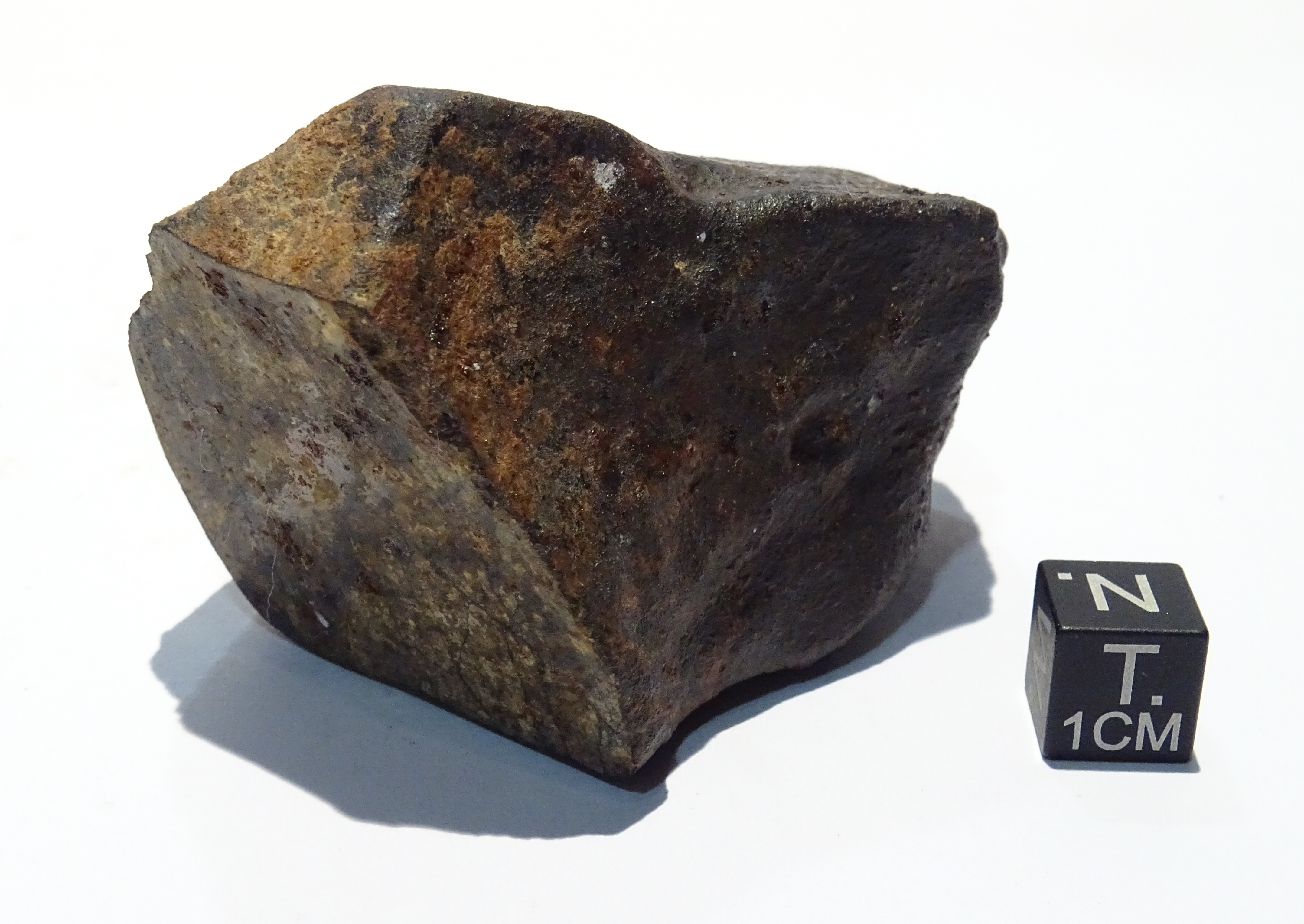 Meteorite/ Condrite ordinaria/ Dar al Gani 676 (esemplare)