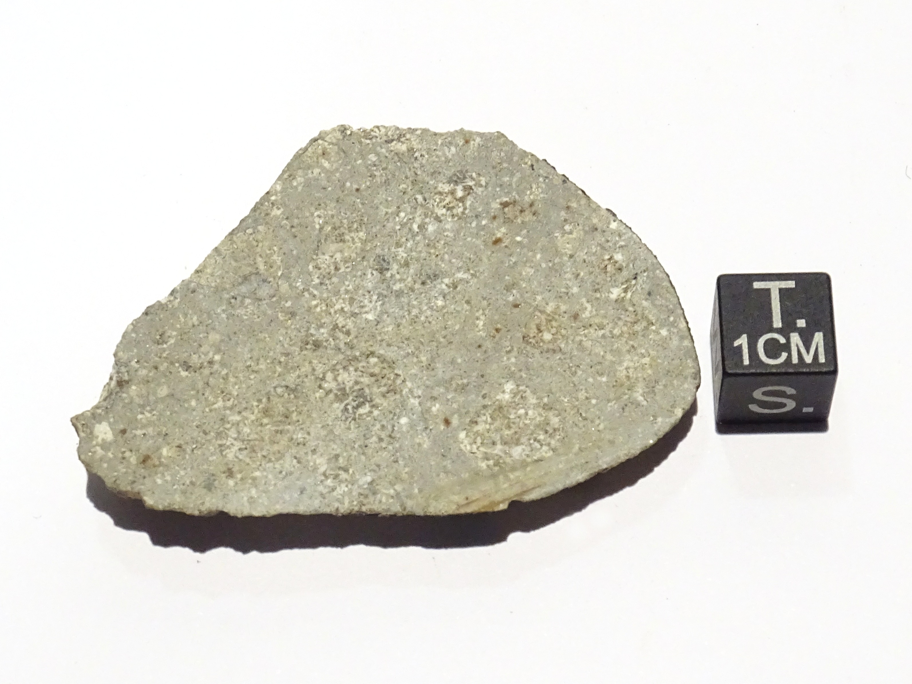 Meteorite/ Eucrite/ Dar al Gani 1060 (esemplare)