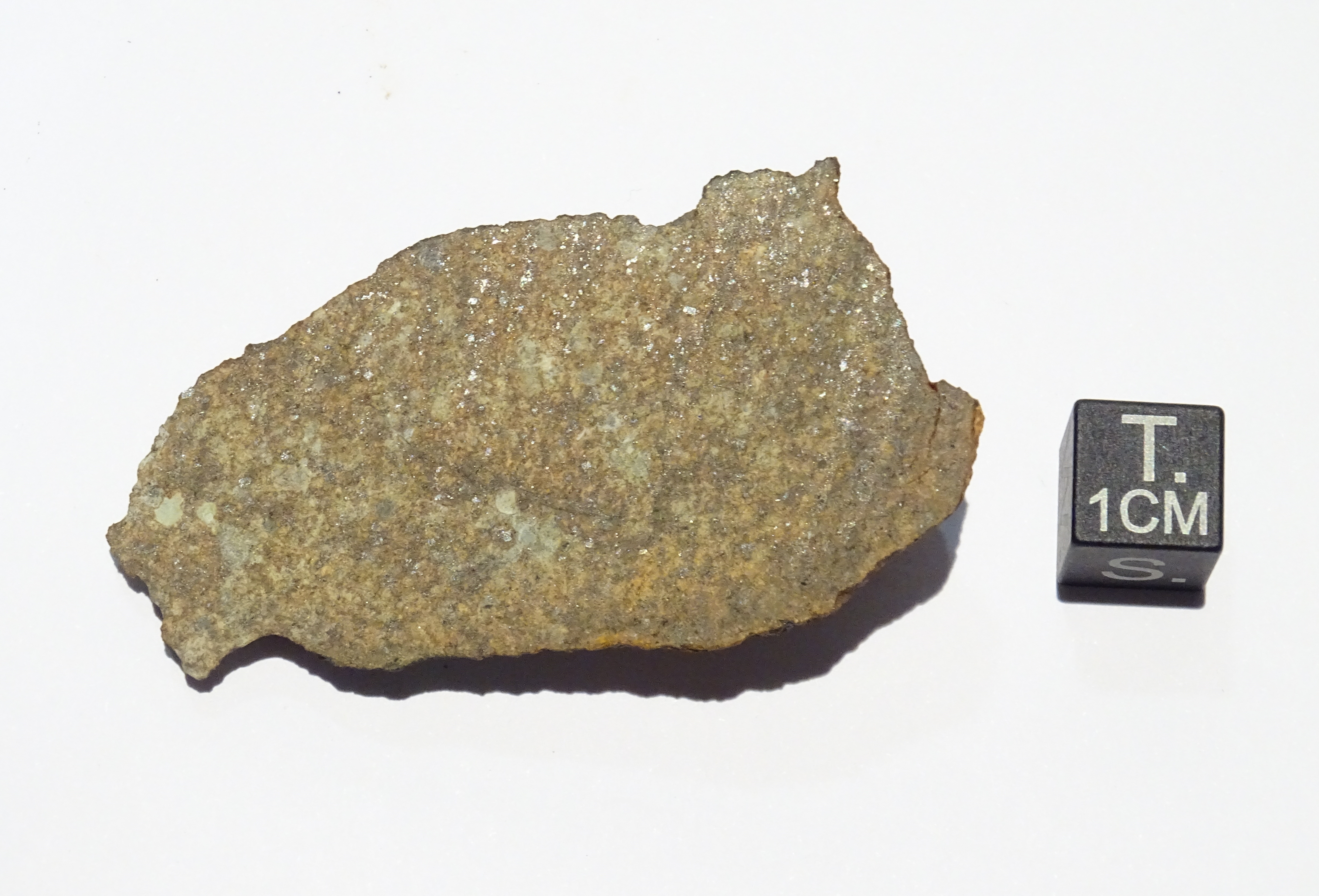 Meteorite/ Condrite ordinaria/ Northwest Africa 1698 (esemplare)