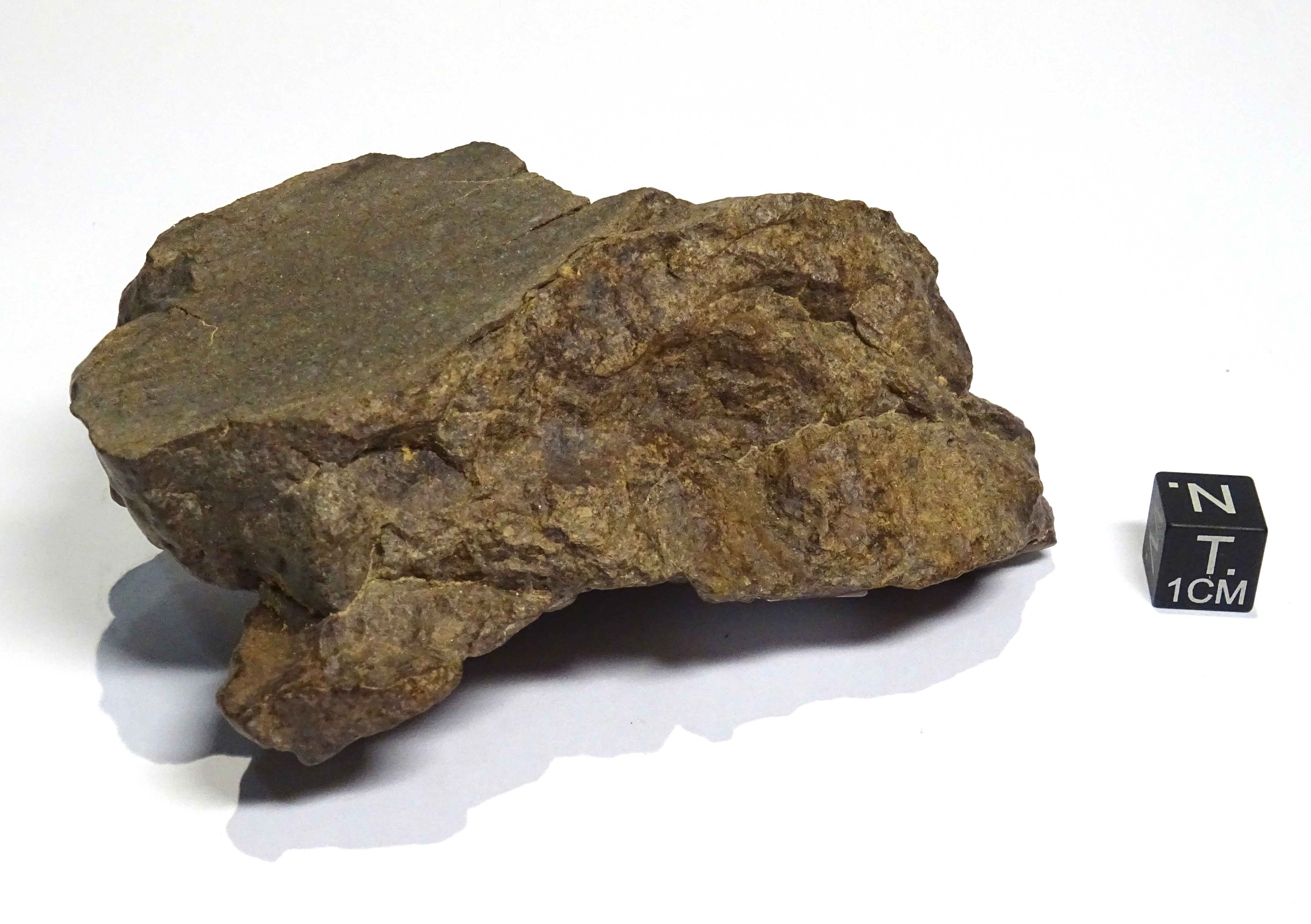 Meteorite/ Condrite ordinaria/ Dar al Gani 1004 (esemplare)