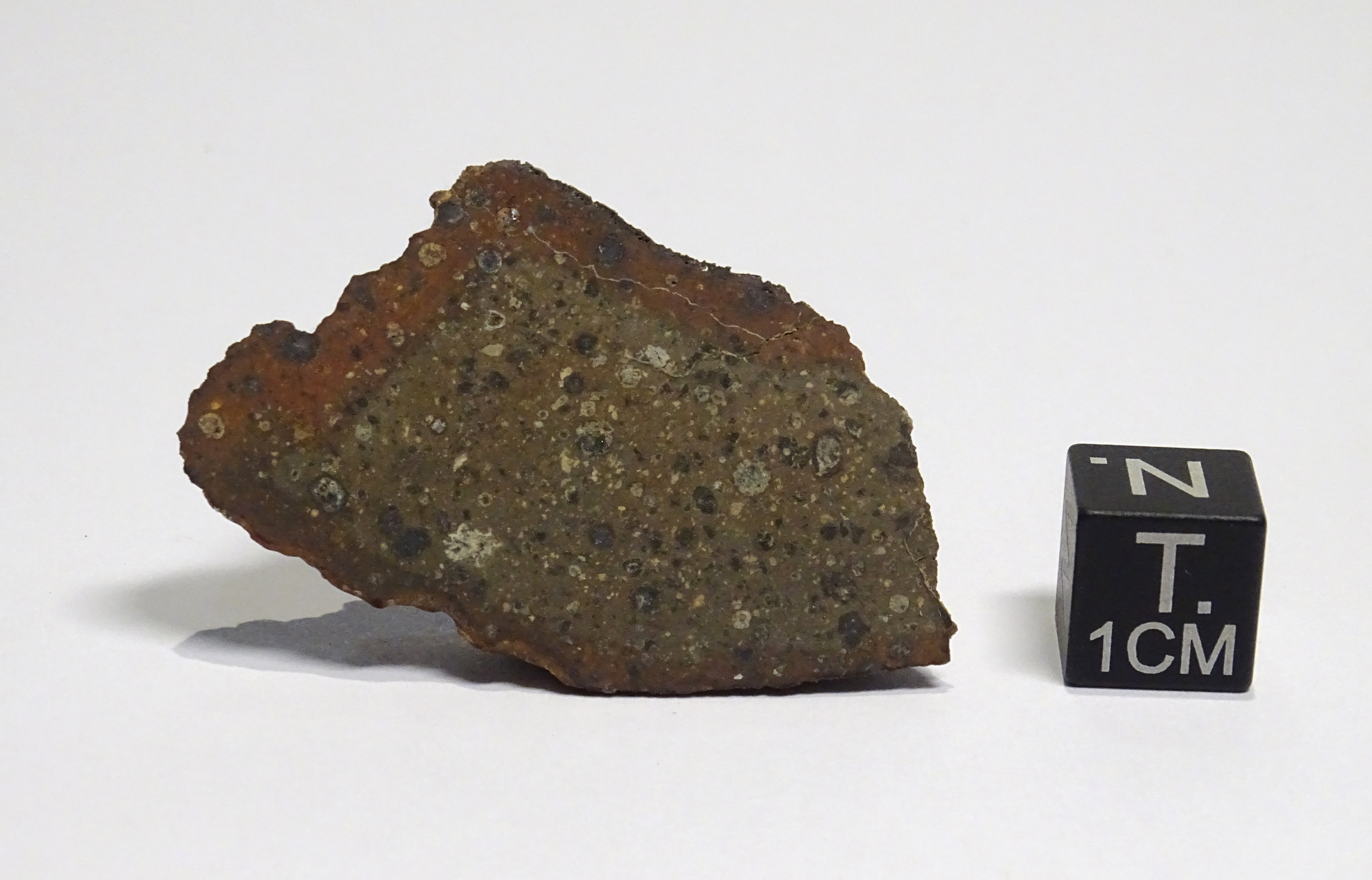 Meteoriti/Condrite carbonacea/ Northwest Africa 7110 (serie)