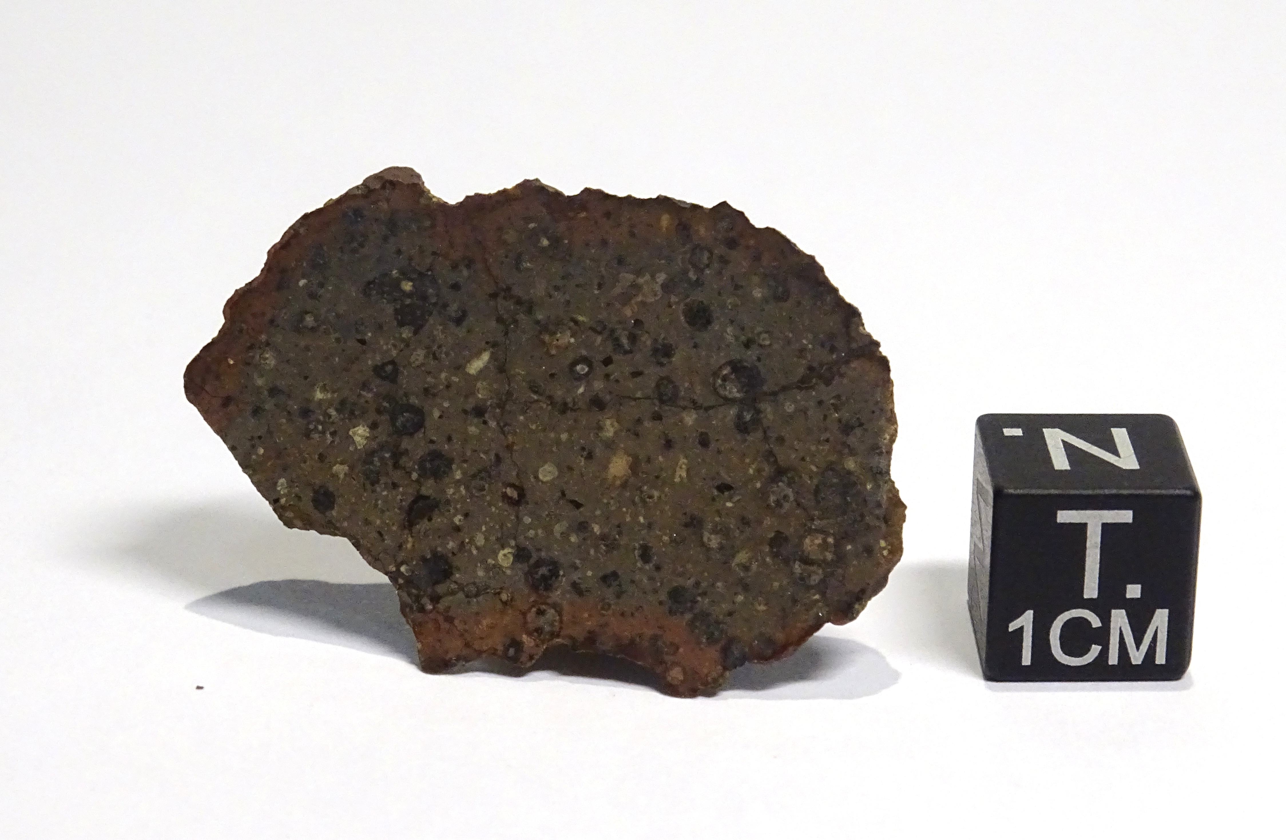 Meteoriti/Condrite carbonacea/ Northwest Africa 7110 (esemplare)