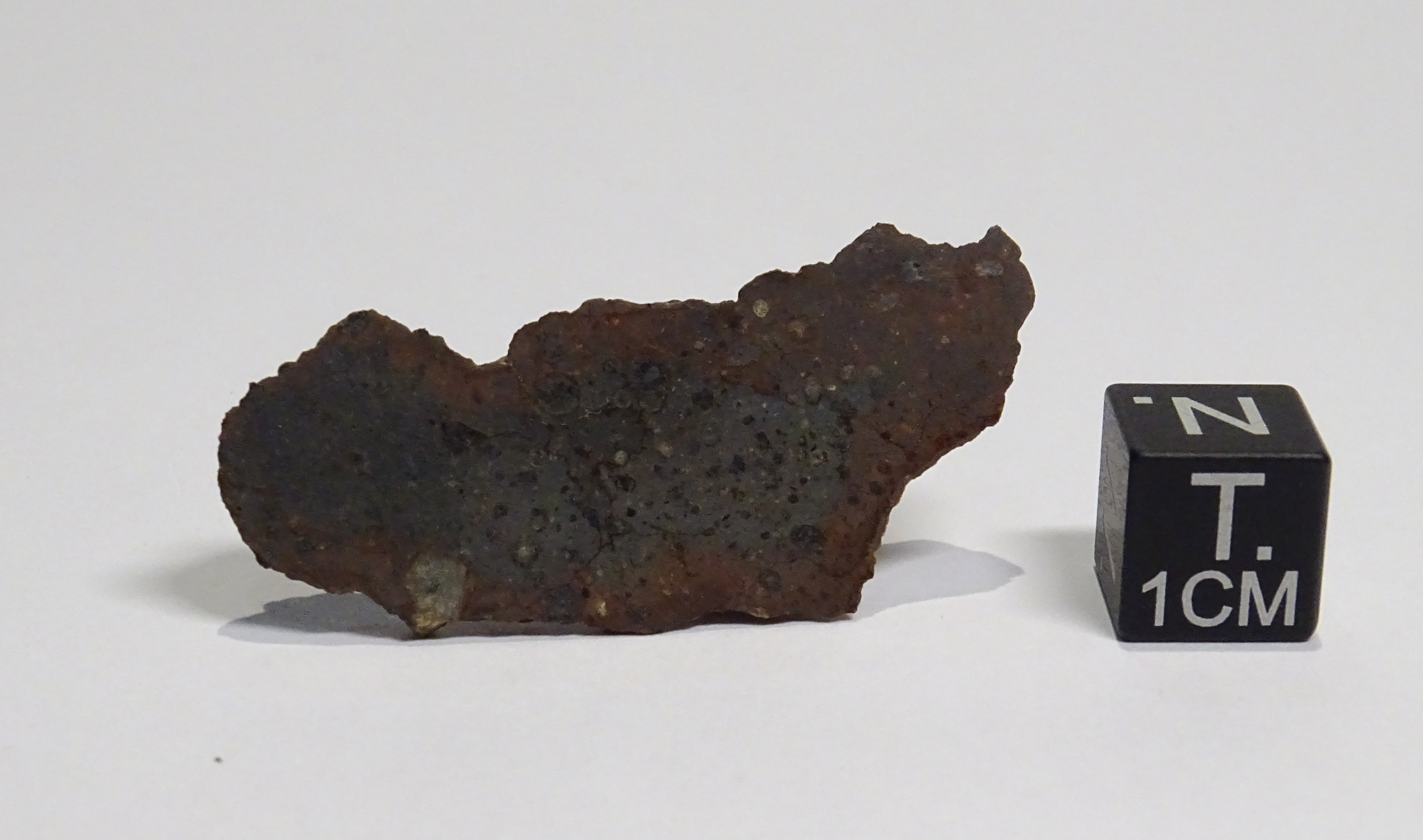 Meteorite/ Condrite carbonacea/ Northwest Africa 7110 (esemplare)