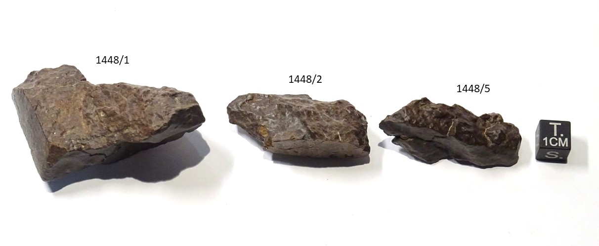 Meteorite/ Condrite ordinaria /Hammadah al Hamra 325 (esemplare)