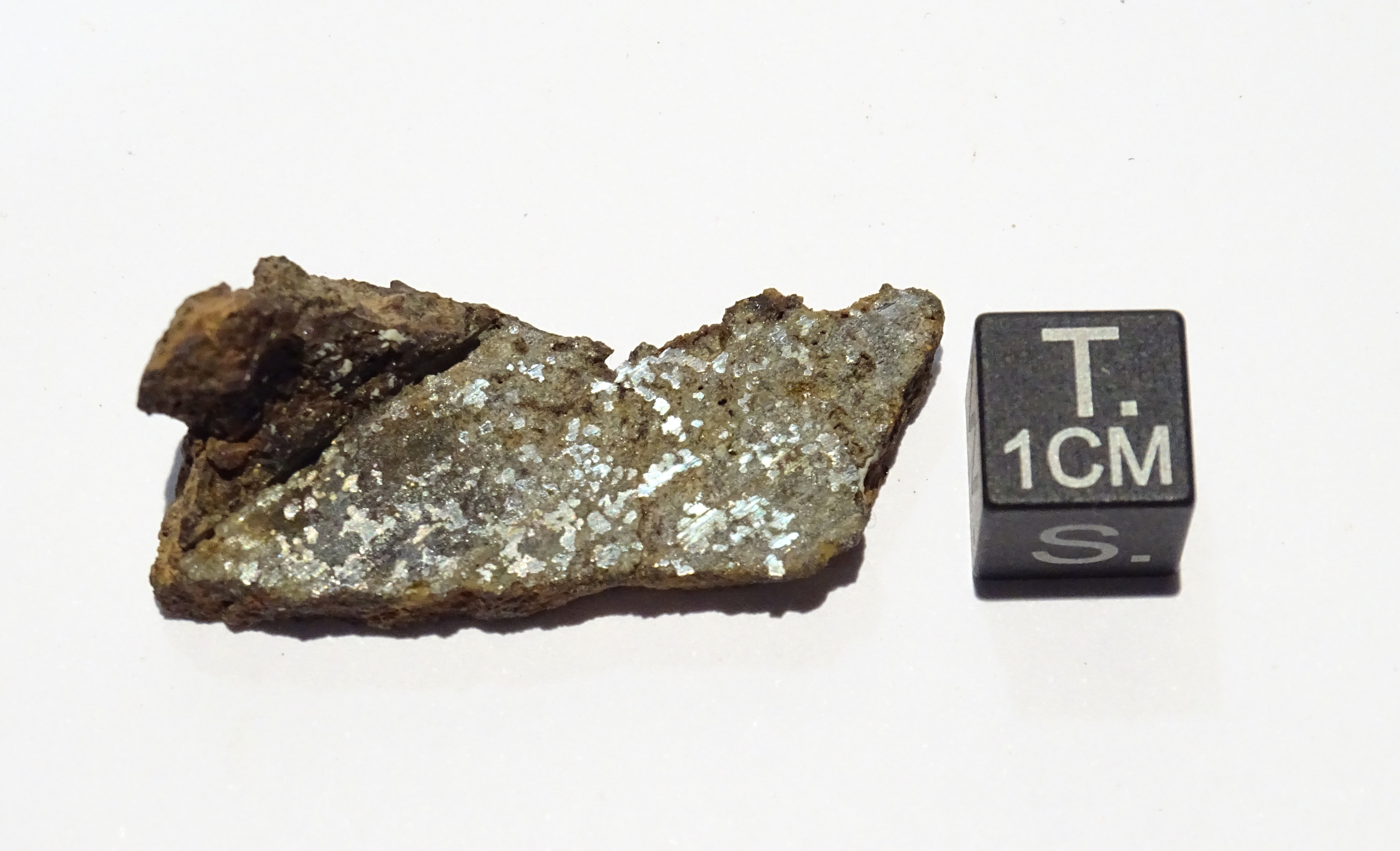 Meteoriti/ Mesosiderite/ Northwest Africa 4418 (esemplare)