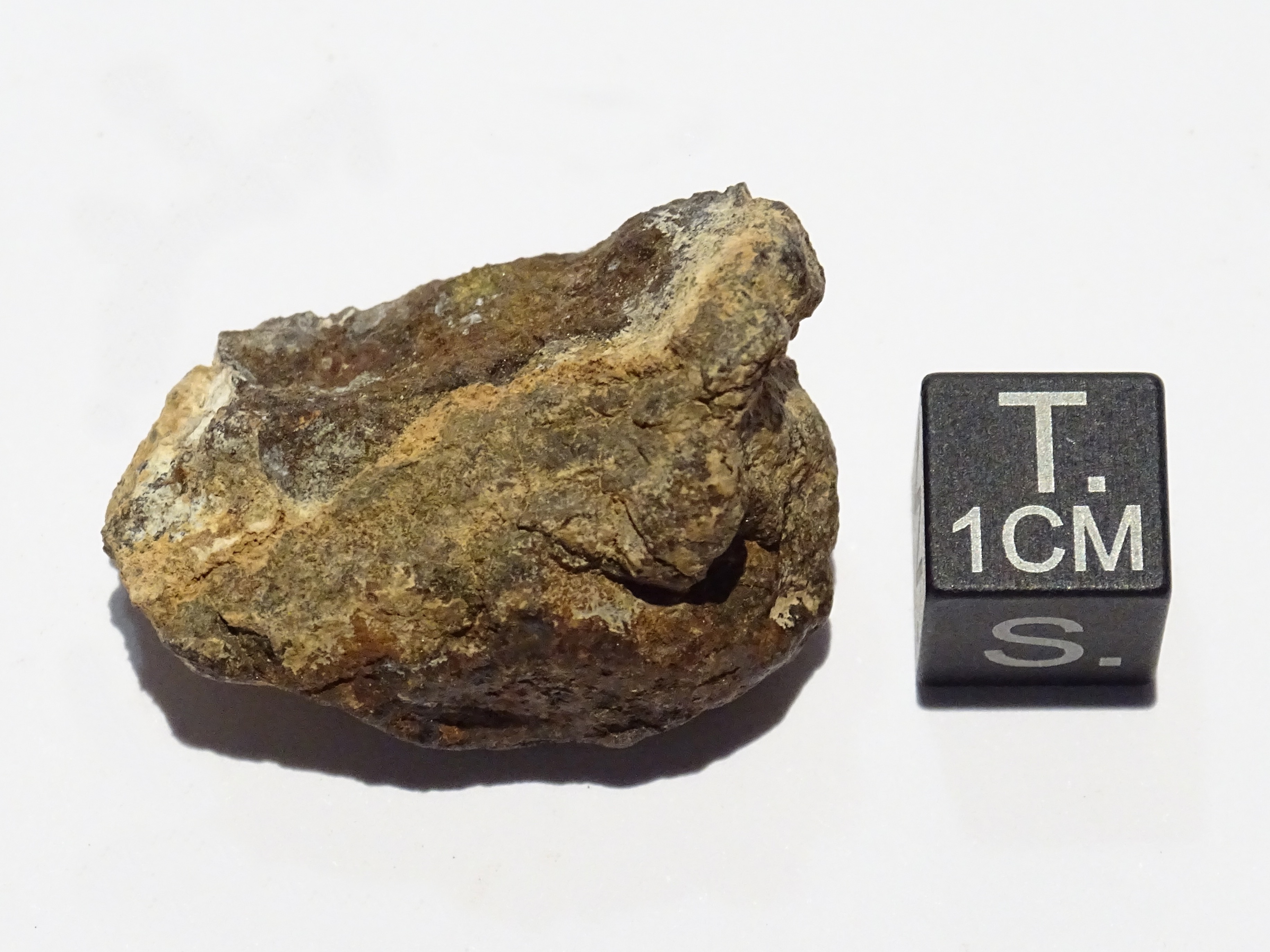 Meteorite/ Condrite ordinaria/ Northwest Africa 8458 (esemplare)