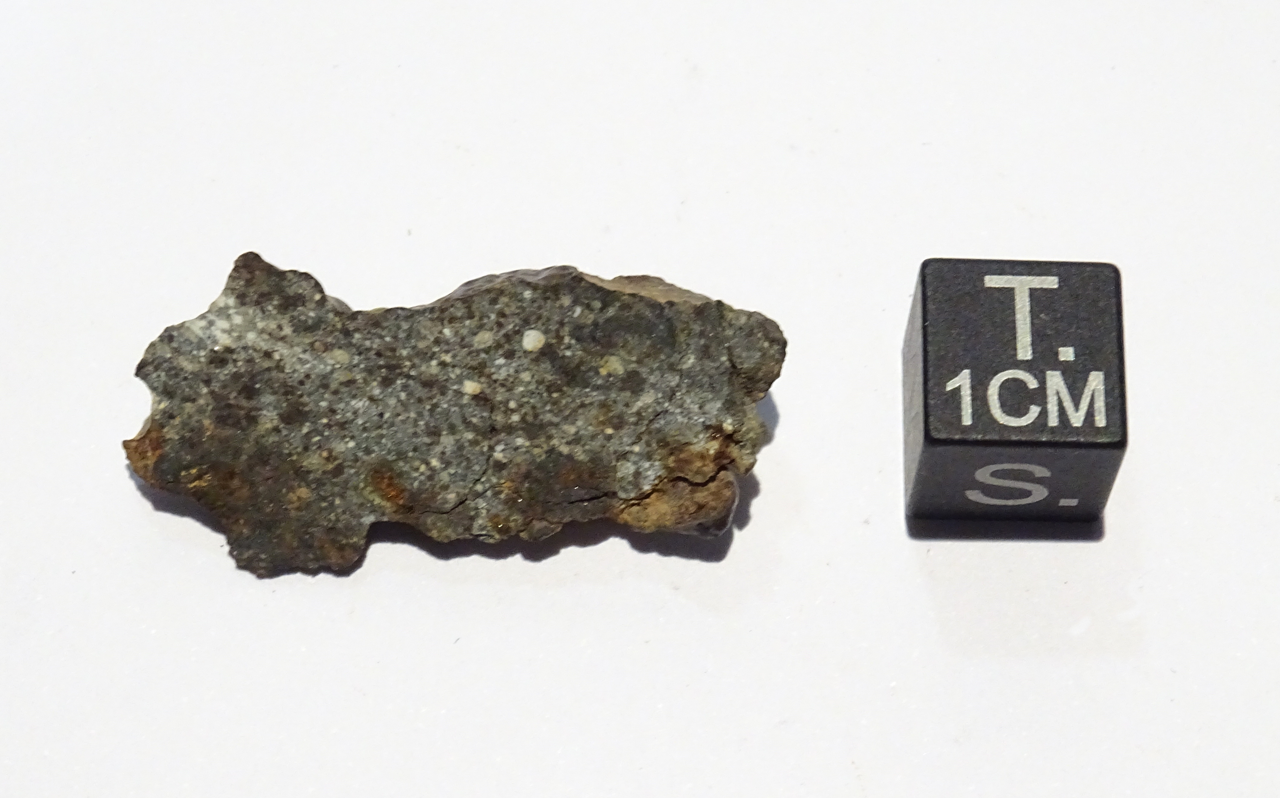 Meteorite/ Howardite/ Northwest Africa 6686 (esemplare)
