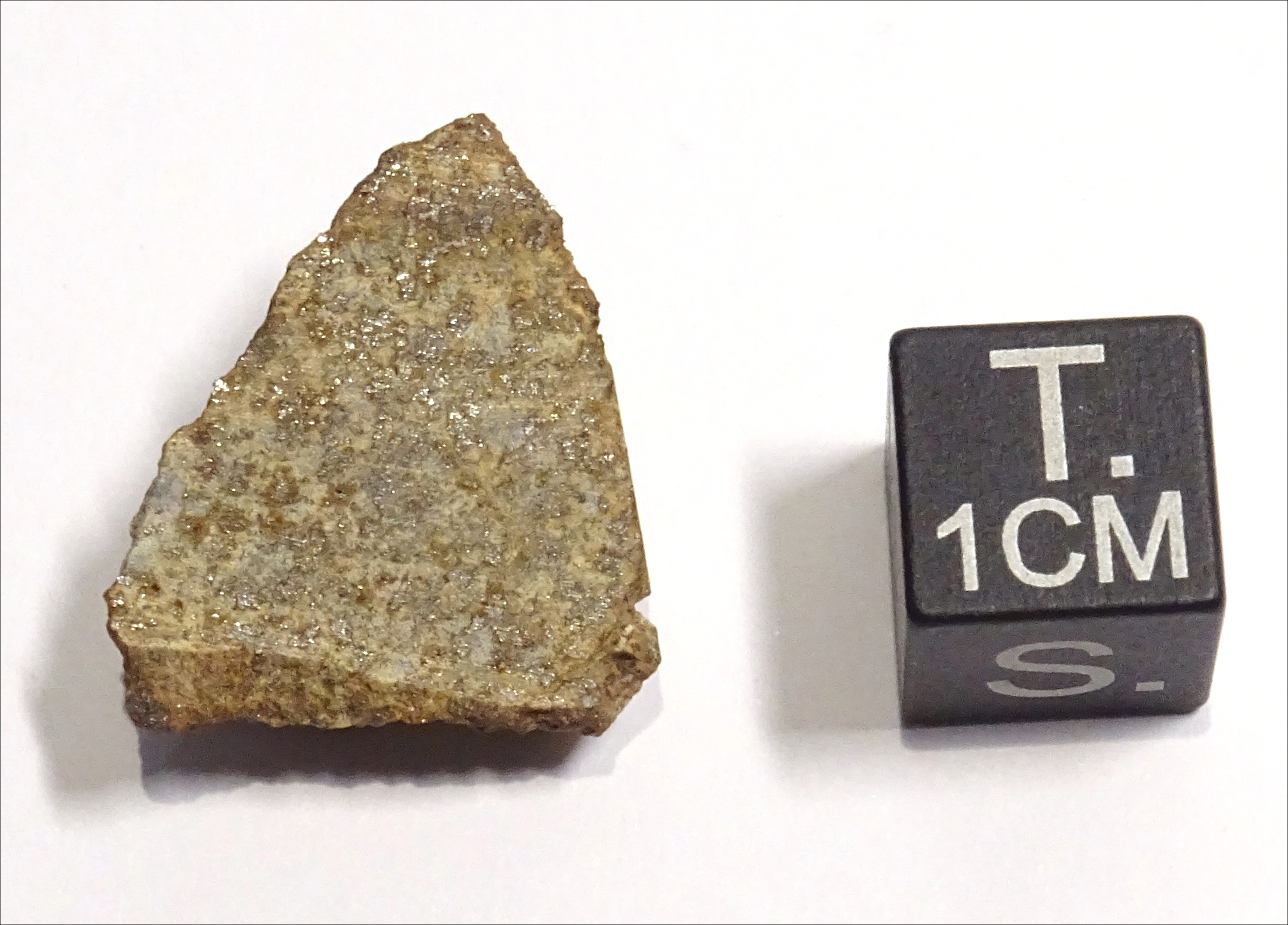 Meteorite/ Condrite ordinaria/ Northwest Africa 884 (esemplare)