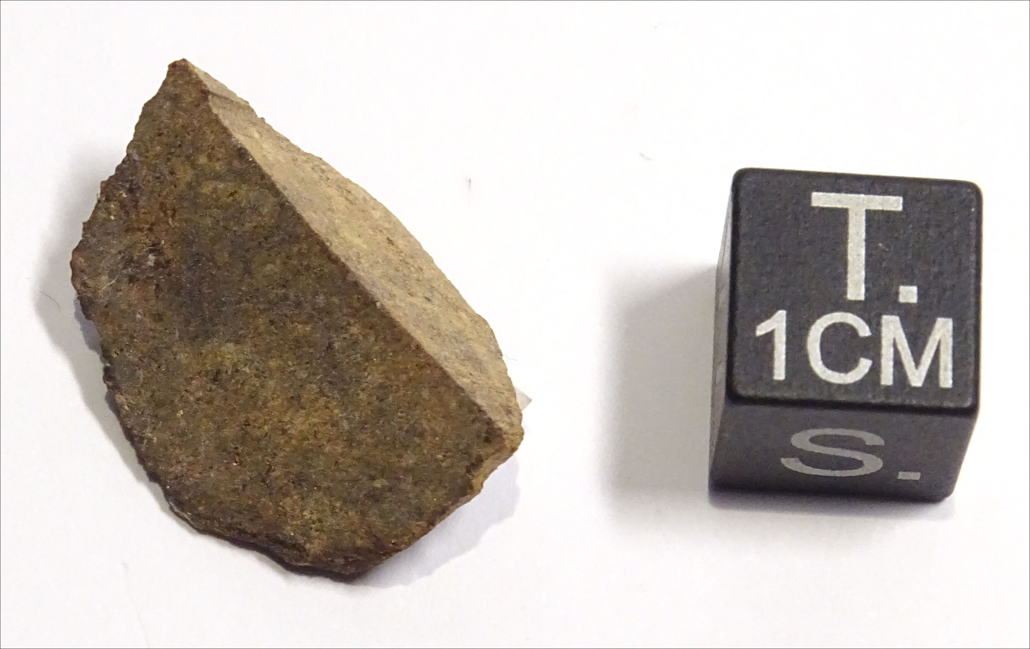 Meteorite/ Condrite ordinaria/ Northwest Africa 897 (esemplare)
