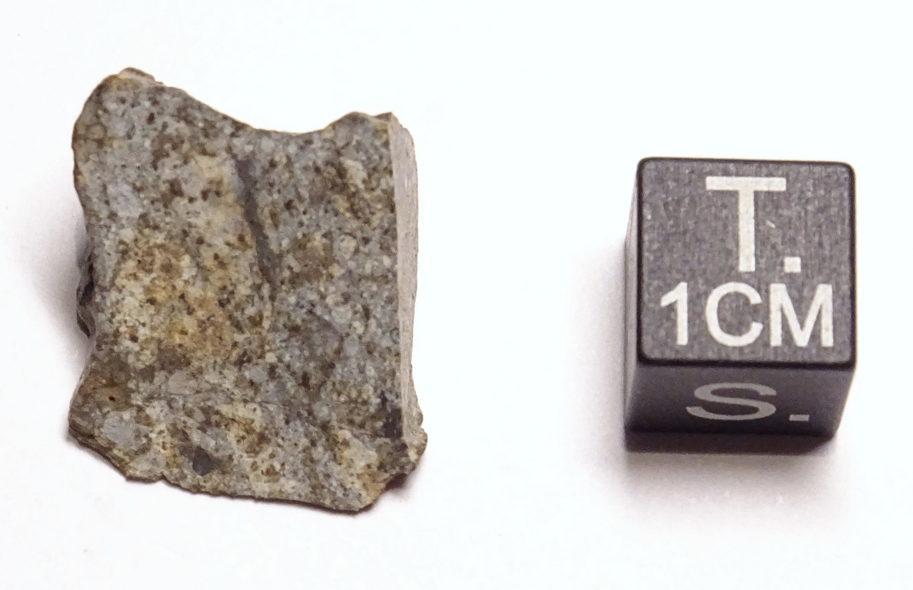 Meteorite/ Condrite ordinaria/ Northwest Africa 1059 (esemplare)