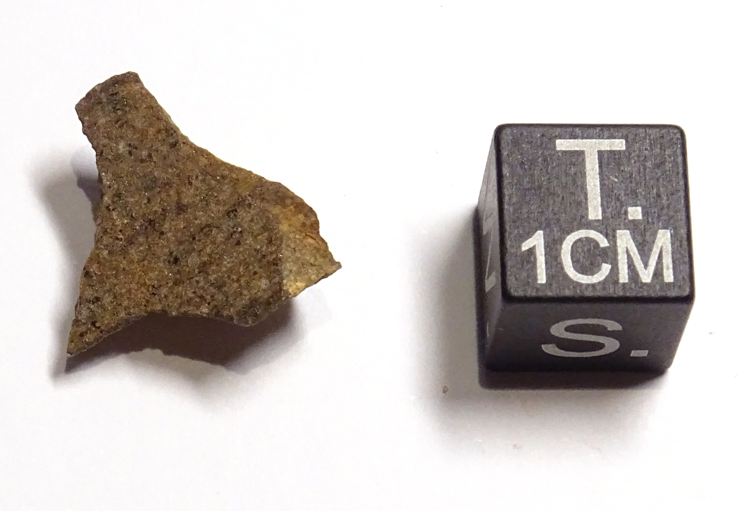 Meteorite/ Condrite ordinaria/ Northwest Africa 1066 (esemplare)