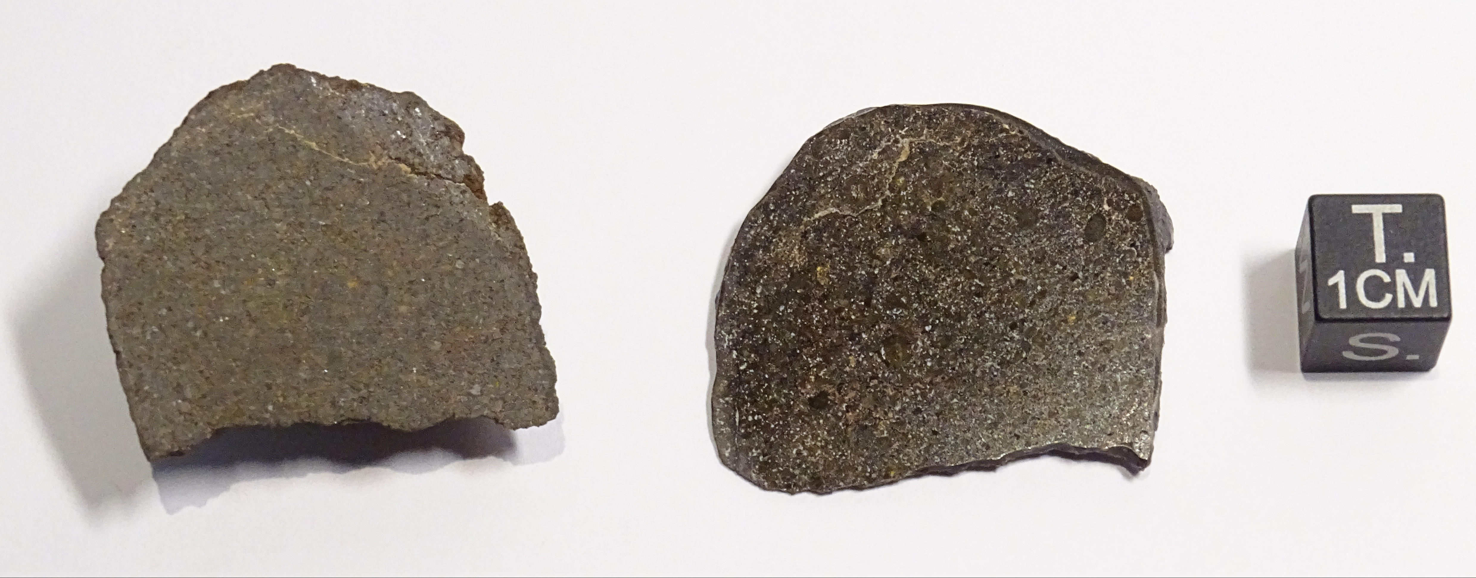 Meteorite/ Condrite ordinaria/ Northwest Africa 4428 (esemplare)