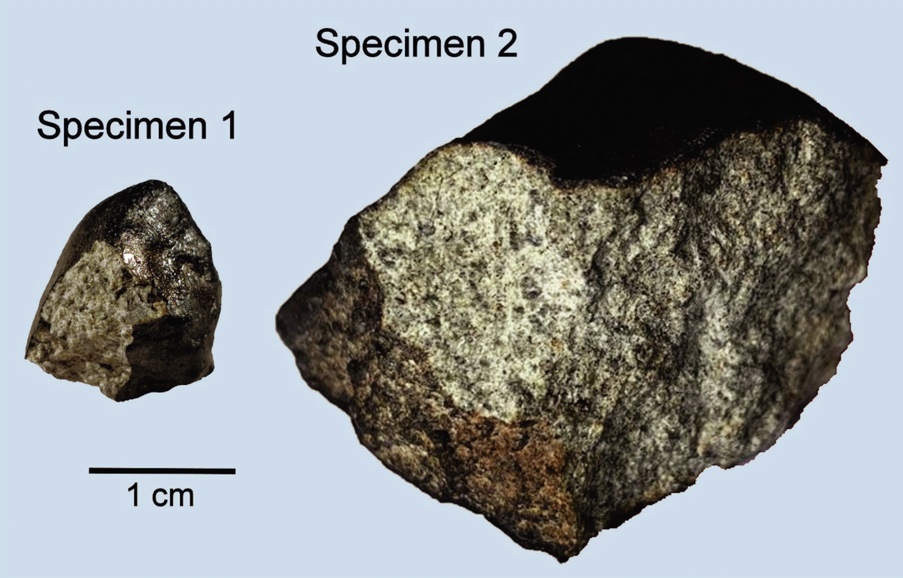 Meteorite/ Condrite ordinaria anomala/ Cavezzo (esemplare)