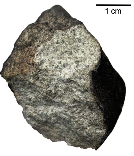 Meteorite/ Condrite ordinaria anomala/ Cavezzo (esemplare)