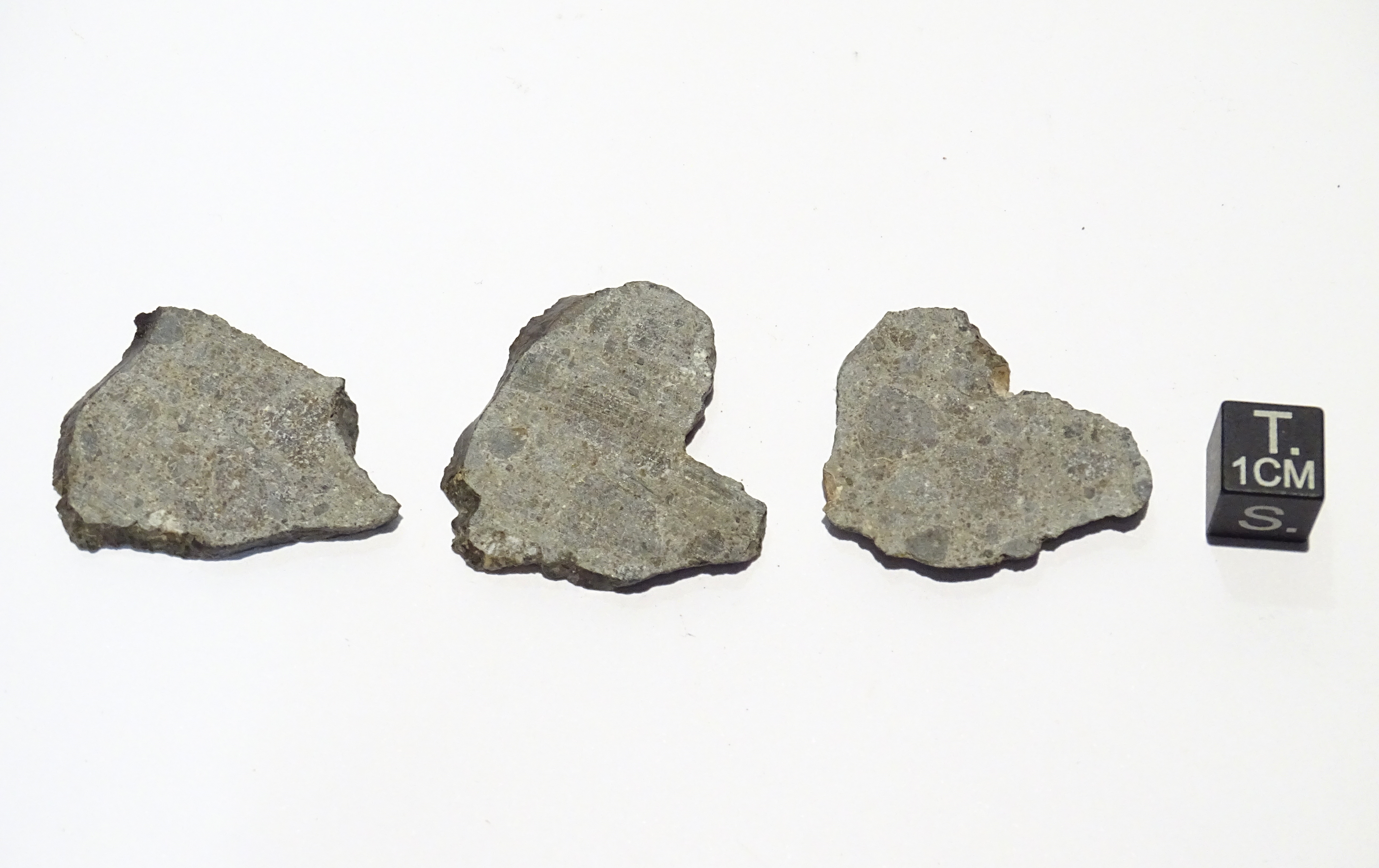 Meteorite/ Eucrite/ Northwest Africa 3212 (esemplare)