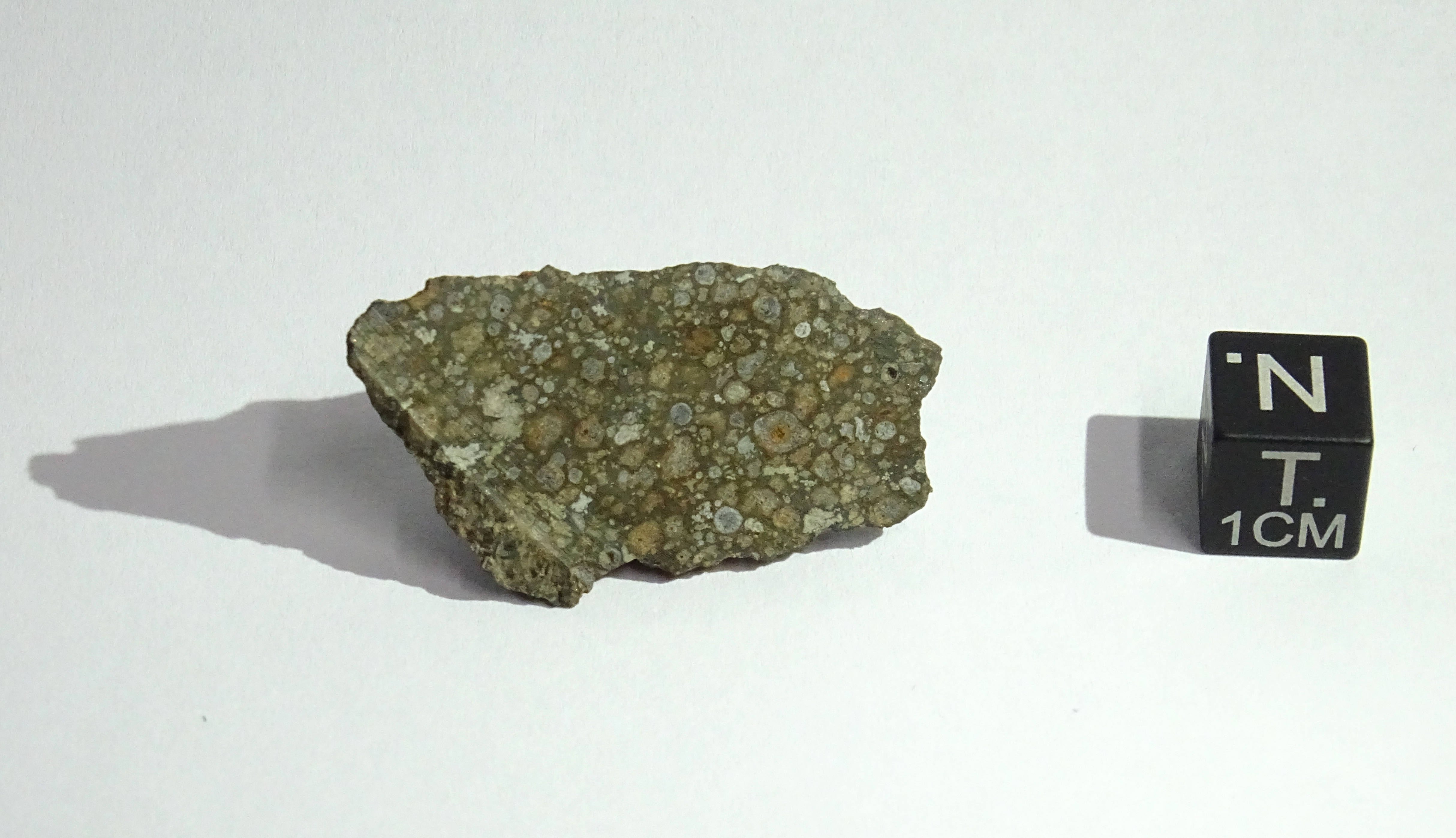 Meteorite/ Condrite carbonacea/ Northwest Africa 3214 (esemplare)