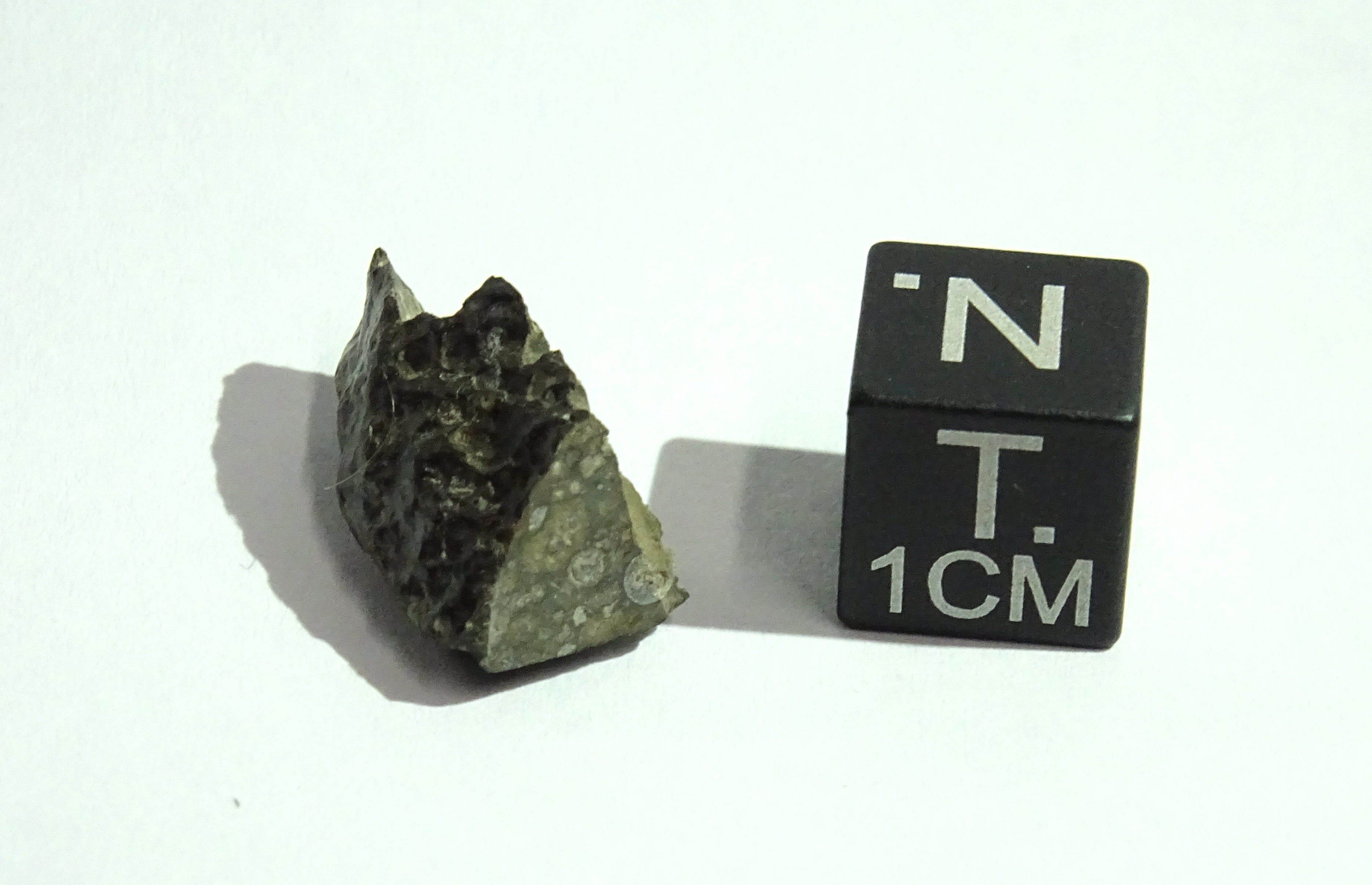 Meteorite/ Condrite carbonacea/ Northwest Africa 3214 (esemplare)