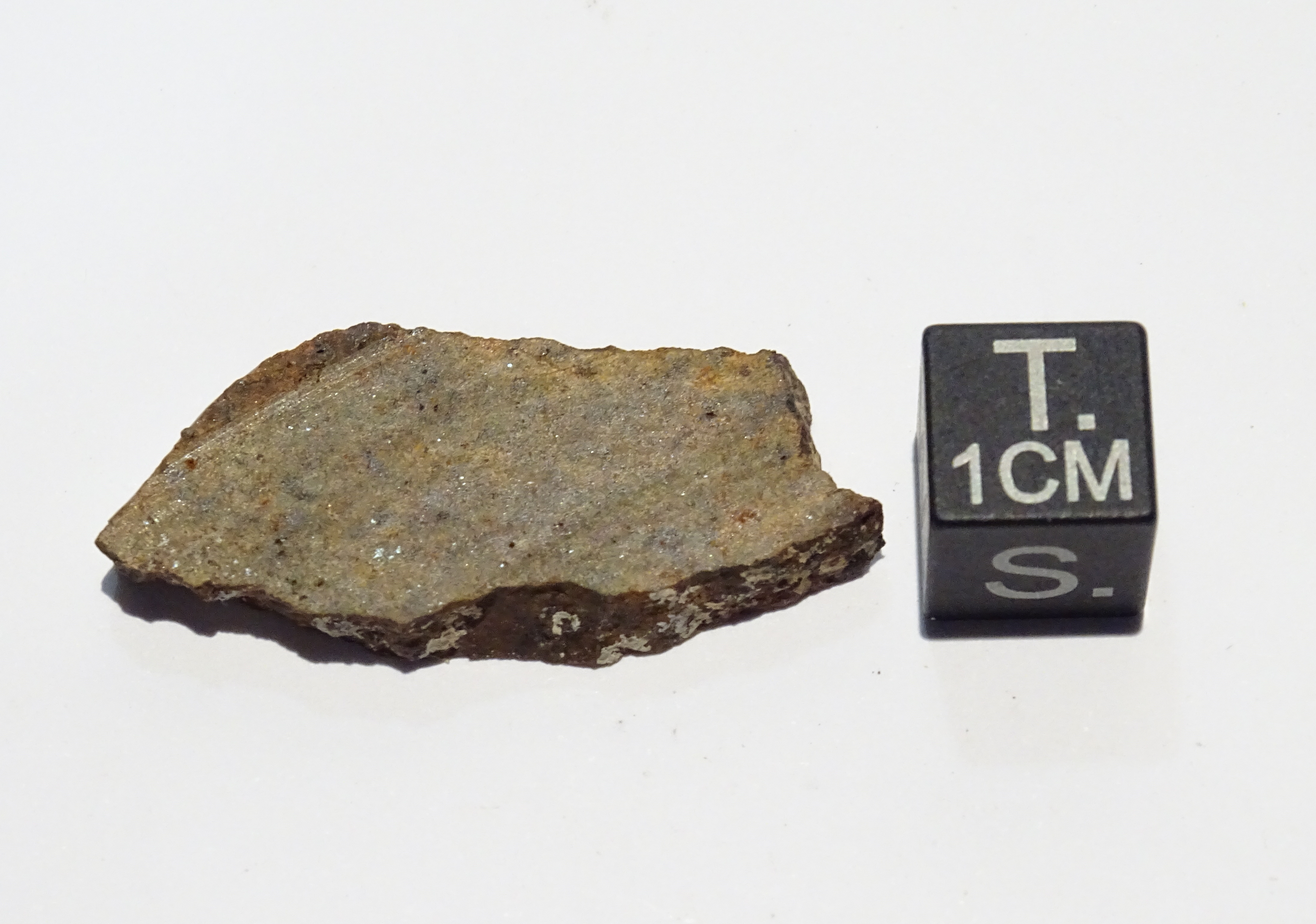 Meteorite/ Condrite ordinaria/ Northwest Africa 1703 (esemplare)