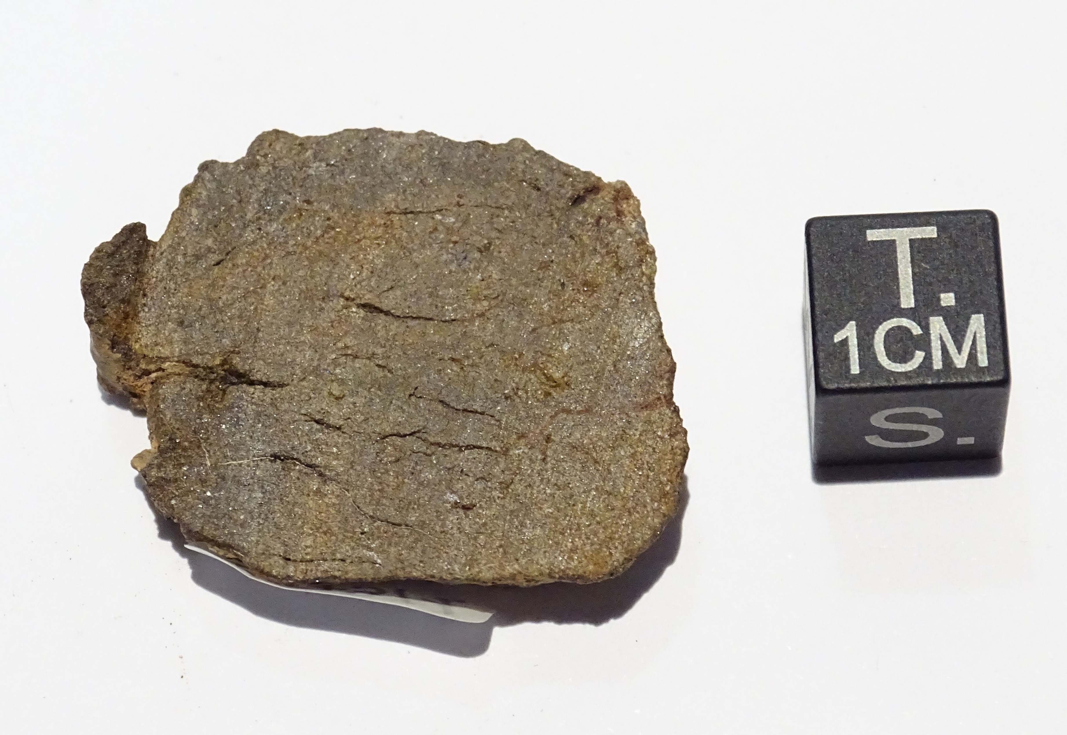 Meteorite/ Condrite enstatitica/ Northwest Africa 6542 (esemplare)
