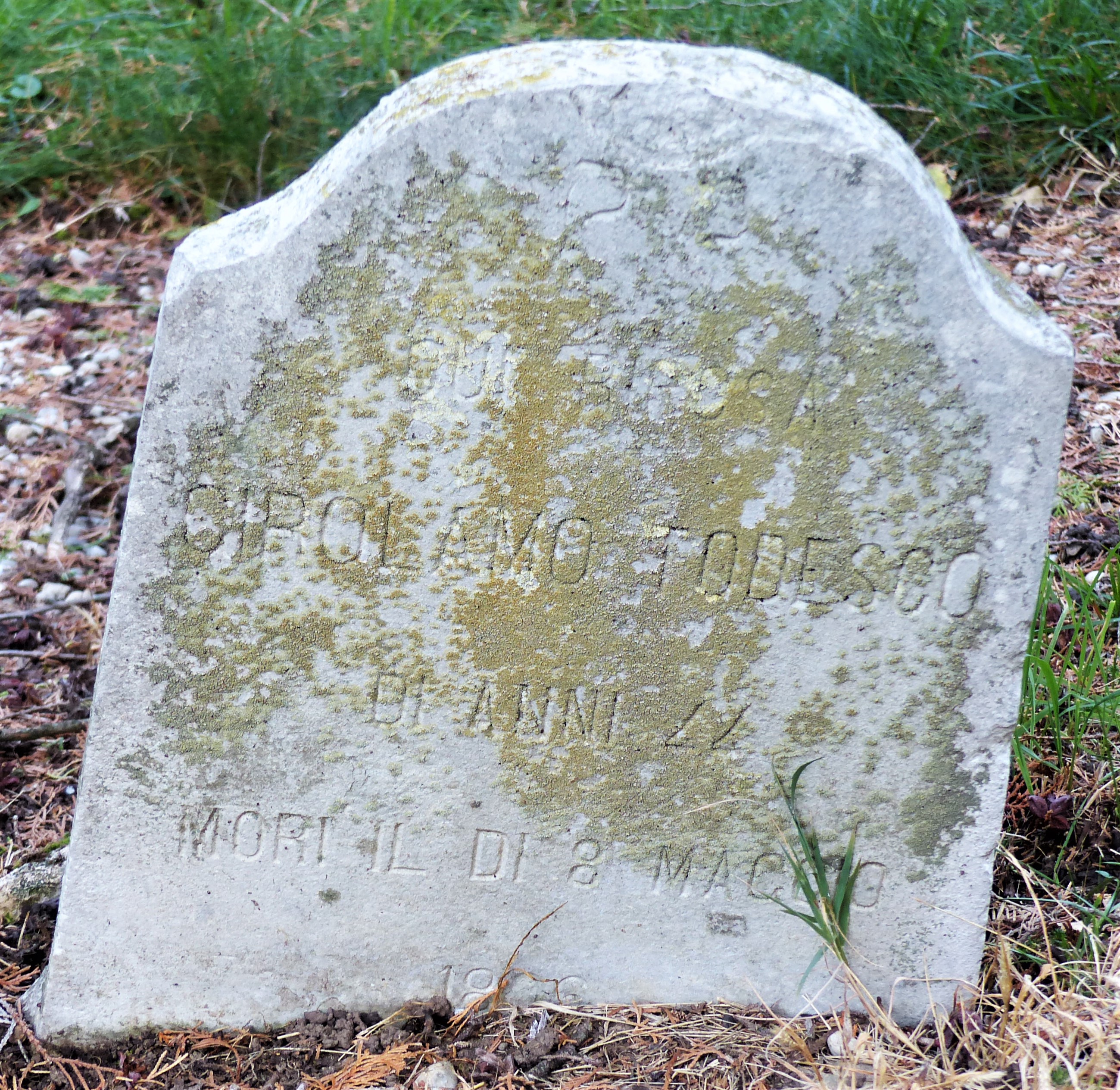 stele funeraria - a centina - ambito ebraico (XIX)