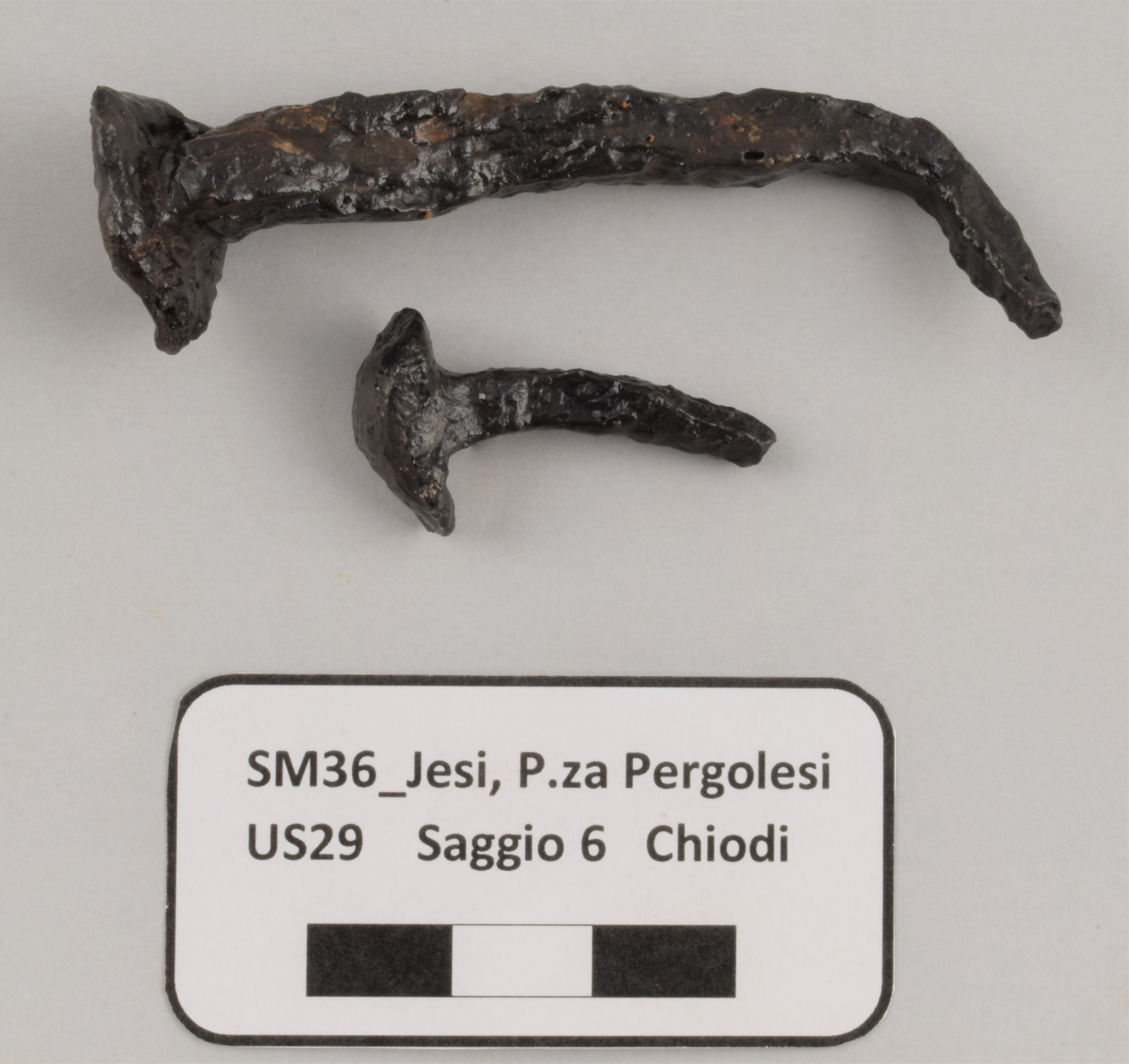 chiodo/ a testa piramidale - ambito medievale (PERIODIZZAZIONI/ STORIA/ Eta' medievale)